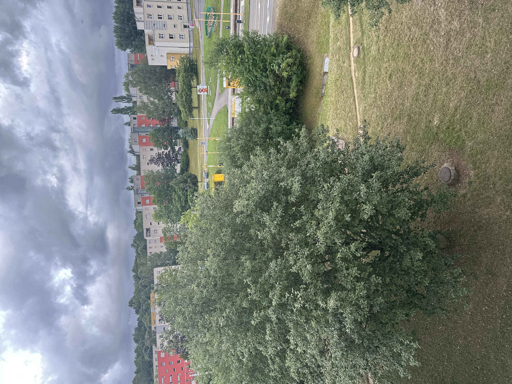The image shows an aerial view of a residential area with apartment buildings, trees, and a street. The apartment buildings are multi-story structures, with some featuring red facades and others in neutral colors. Lush green trees are scattered throughout the scene, with a large, dense tree dominating the foreground on the left side of the image. A road runs through the scene, with a yellow tram or light rail vehicle visible on the tracks. The sky is overcast with dark, dramatic clouds. The ground is covered with grass and some paved paths. Manhole covers are visible in the grassy areas. The overall impression is of a moderately dense urban or suburban environment under a stormy sky.