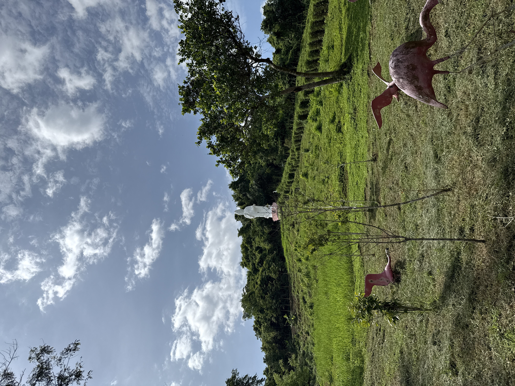 In Khanh Vinh, Vietnam, a white statue of a deity stands on a grassy hill overlooking a lush green landscape. The statue is positioned at the top of the hill, partially obscured by trees. In the foreground, two weathered pink flamingo statues are visible on the lawn. The sky above is blue with scattered white clouds, and the overall scene is bathed in daylight.