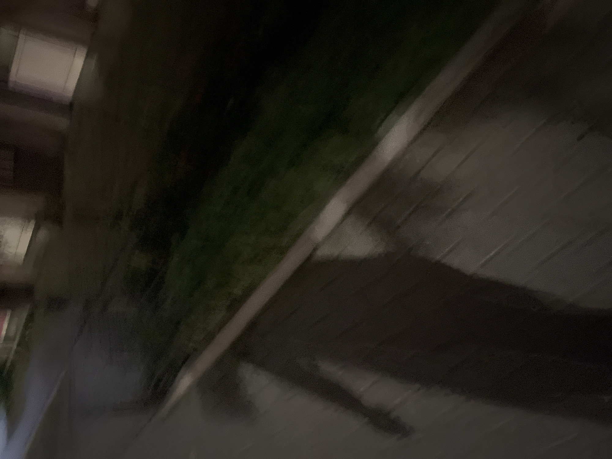 The image appears to be taken outdoors at night, likely in an urban area. The scene is dark with limited visibility. A sidewalk composed of paving stones is visible. A darker shadow is present on the sidewalk. There is a strip of vegetation, possibly grass or bushes, next to the sidewalk. A building with windows is visible on the left edge of the image. The photo is tilted, giving a distorted perspective. There is insufficient information to ascertain the exact location in Blagoevgrad, Bulgaria.