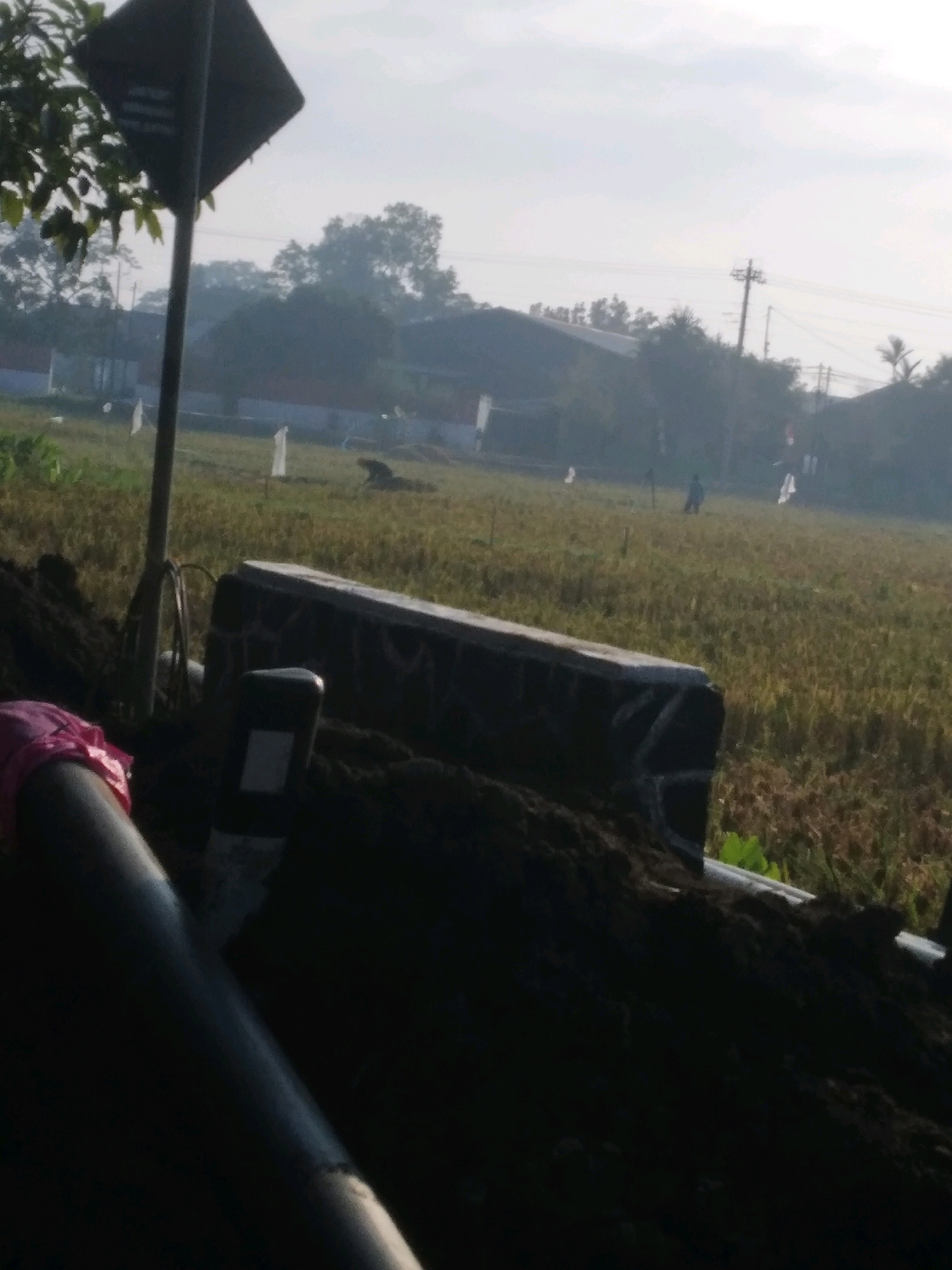 The image depicts an outdoor scene, likely in the morning given the soft, hazy light and the presence of mist in the background. In the foreground, a dark mound of earth is prominent, with a dark cylindrical object, possibly a pipe or a large branch, angled across the lower left of the frame, partially covered by a pink cloth. A dark, diamond-shaped signpost is visible to the left, with what appears to be text on it, partially obscured by foliage.
Behind the foreground mound, a low concrete structure runs horizontally, with a dark, possibly stone-like texture, and some lighter markings or patterns on its surface. A black and white marker post is situated next to this structure.
The background consists of a large, open field, likely agricultural land with dry, light-colored vegetation, possibly rice paddies. Several white flags or markers are dotted across the field. In the mid-distance, a few figures can be seen, one appearing to be a person walking, and another darker shape that might be an animal or a scarecrow. Beyond the field, there are hints of houses and trees, with a utility pole and wires visible against the hazy sky. The overall impression is one of a rural or semi-rural setting, perhaps on the outskirts of a village. The mention of Desa Pamijen, Kecamatan Sokaraja, Indonesia suggests this location.