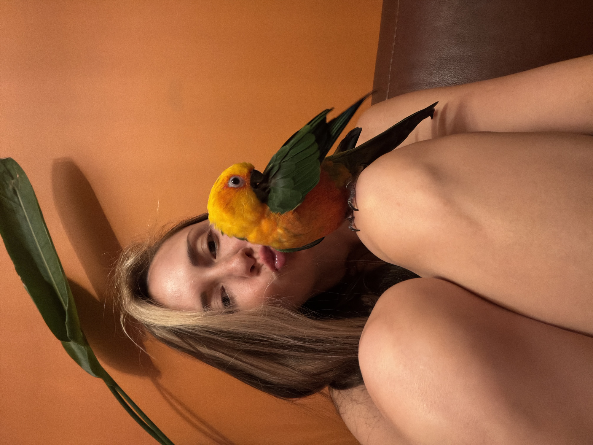 A woman lies on a leather couch with a yellow and orange parrot perched on her shoulder. She is fair-skinned with brown hair, and her lips are slightly puckered. The parrot is preening its feathers. A green plant is visible in the bottom left corner, and the wall is painted a pale orange color. The location is unknown.