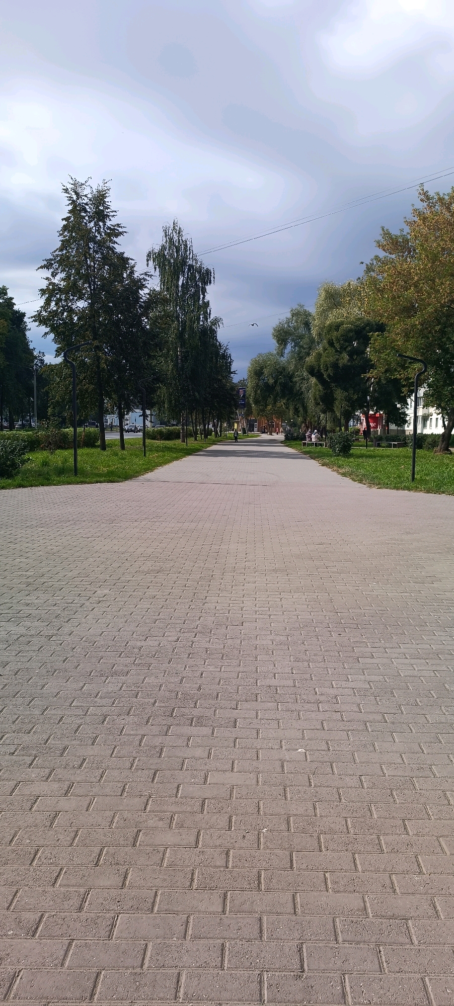 The image depicts a paved walkway in a park-like setting in Chaikovsky, Russia. The walkway is made of light-colored rectangular pavers arranged in a basket-weave pattern and extends into the distance, flanked by green grass on either side. Tall trees with dense foliage line the walkway, creating a sense of a tree-lined avenue. In the background, there are buildings and some people visible, suggesting an urban park or public space. The sky is partly cloudy with a mix of light and dark gray clouds, indicating overcast or transitional weather. A single bird is visible in flight in the upper right portion of the image. There are streetlights along the sides of the walkway. A few individuals are seated on benches in the middle ground, and a person is walking in the distance.