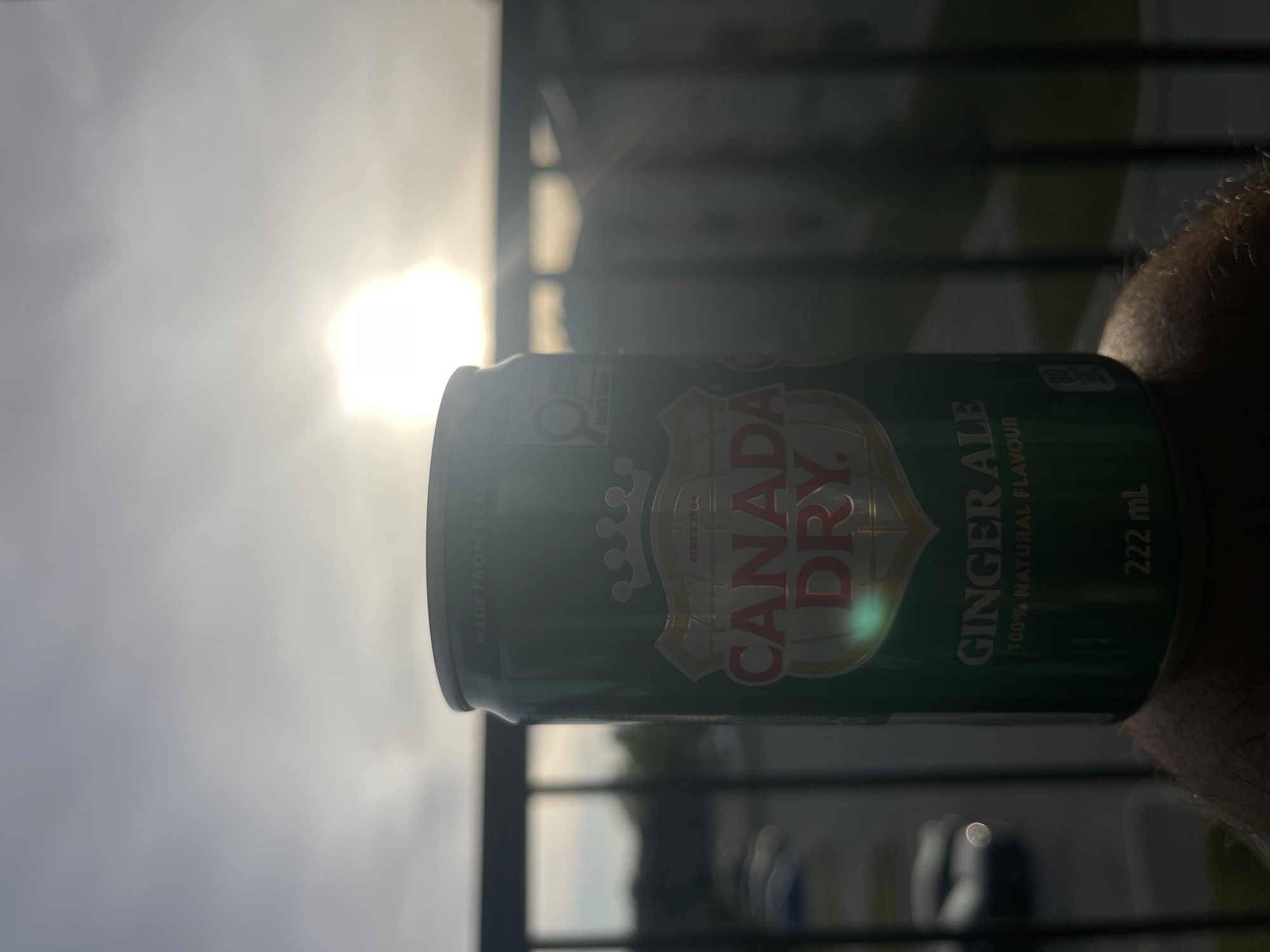 An upward-facing, rotated image captures a green Canada Dry Ginger Ale can held by a hand on the right side of the frame, silhouetted against a bright, hazy sky. The sun, a brilliant white orb, is prominently featured in the upper-left, causing significant glare and overexposure that obscures much of the background. Faint, dark linear structures, possibly a railing or fence, are visible in the blurry mid-ground. The overall scene suggests an outdoor, sunny daytime setting, potentially on a balcony or patio in Gatineau, Canada, although the specific location is not visually confirmed.
Visible text on the can includes: "MADE FROM REAL GINGER" (partially cut off as "GINE"), "SINCE 1904," "CANADA DRY," "GINGER ALE," "100% NATURAL FLAVOUR," and "222 mL." The can's label features a crest-like design with a crown motif. The strong backlighting creates a dramatic effect, emphasizing the can against the bright sky.
