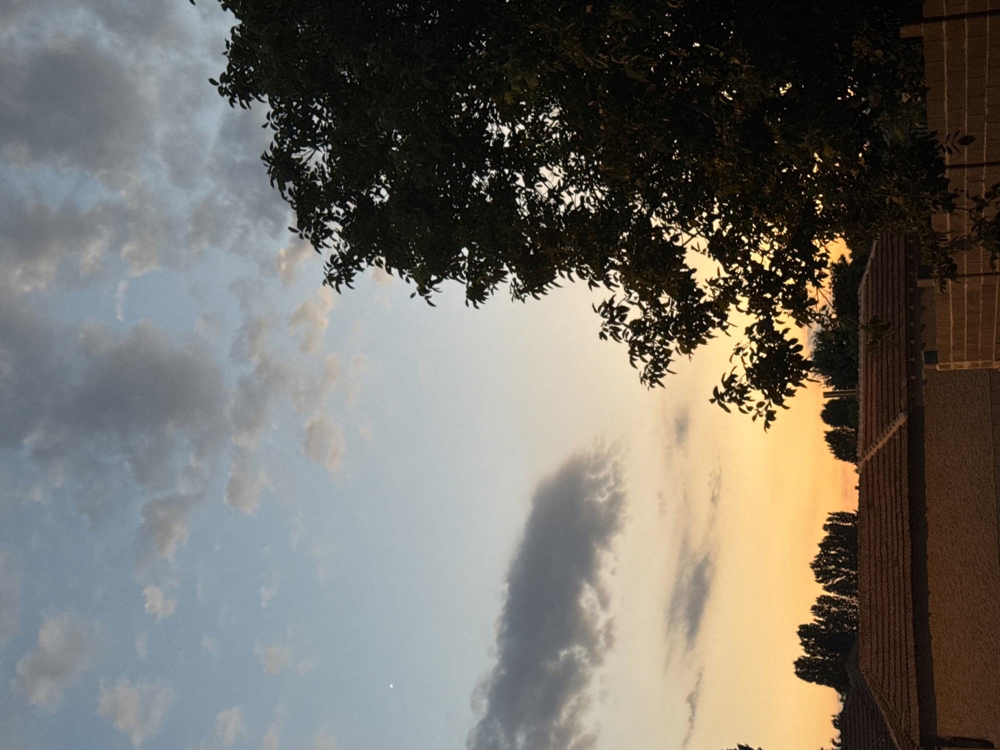 This is a vertical, full-shot photograph of a tree canopy silhouetted against a twilight sky. The sky transitions from a pale blue with scattered grey clouds on the left to a warm, golden orange on the right, indicating sunset or sunrise. A dark green tree occupies the top portion of the frame, with its leaves and branches obscuring parts of the sky. Below the sky, on the right side of the image, is a portion of a building with a reddish-brown tiled roof. The building's wall appears to be made of textured material, possibly stucco or brick, in a light brown or beige color. A line of dark trees is visible in the distance, silhouetted against the bright sky. The overall mood is serene and peaceful, characteristic of the end of the day. No people or text are visible in the image.