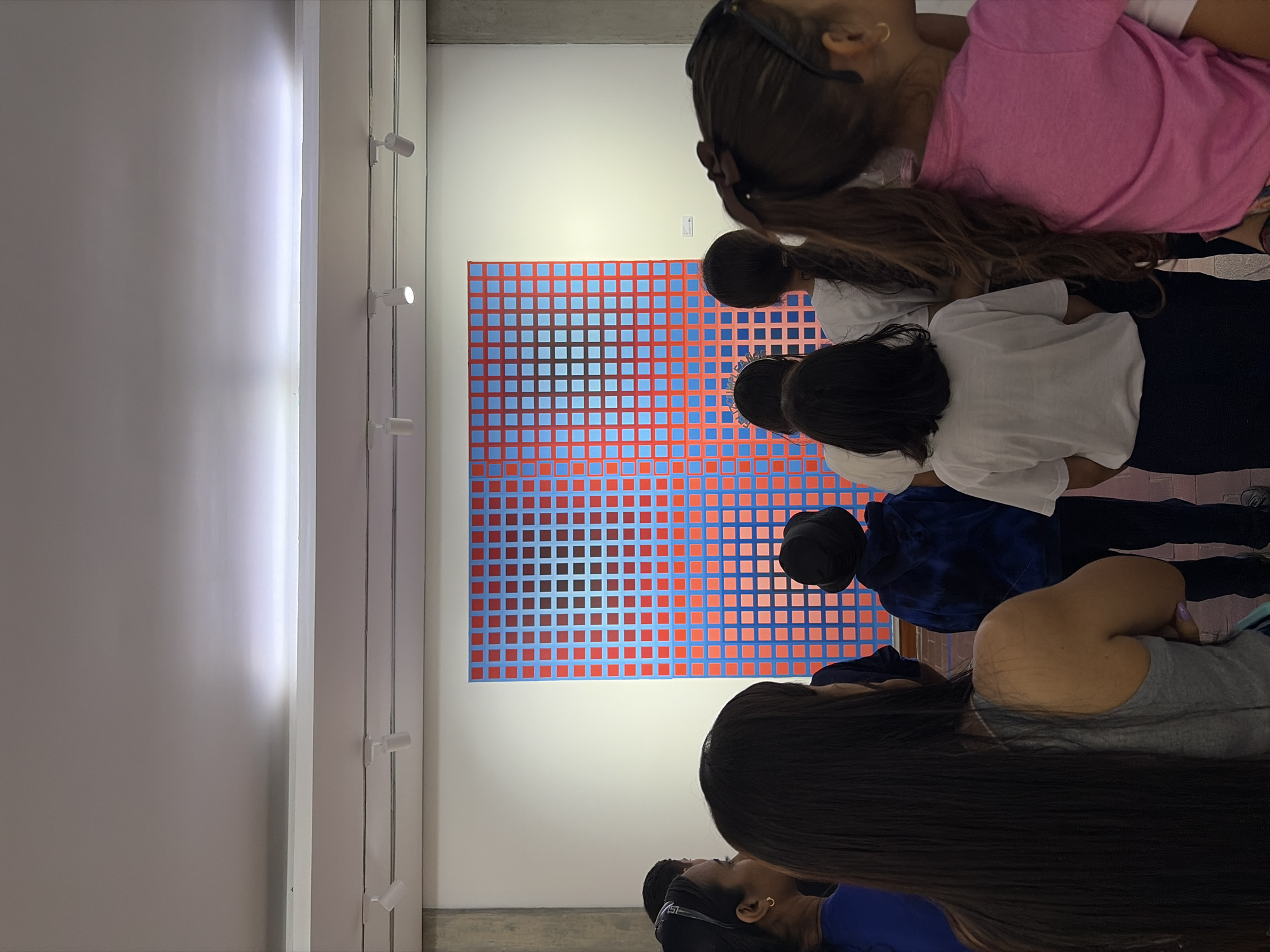 A medium-shot photograph, taken at an approximate eye-level, presents a group of individuals, largely children, seemingly observing an abstract artwork displayed on a wall. The image is likely set within the city of Ciudad Bolivar, Venezuela, although specific city features are absent.
The artwork is characterized by a grid of squares, alternating in color between shades of red and blue. The positioning of the colors creates a pattern or design within the grid.
Several children, with varying hairstyles and clothing, are gathered around the artwork. One child is wearing a pink shirt, while others are clothed in white or blue attire. Their faces are mostly obscured from the camera's view, as they appear to be focused on the artwork.
The background is a stark white wall, with a series of light fixtures installed along the side. The overall environment appears to be an art gallery or museum setting.