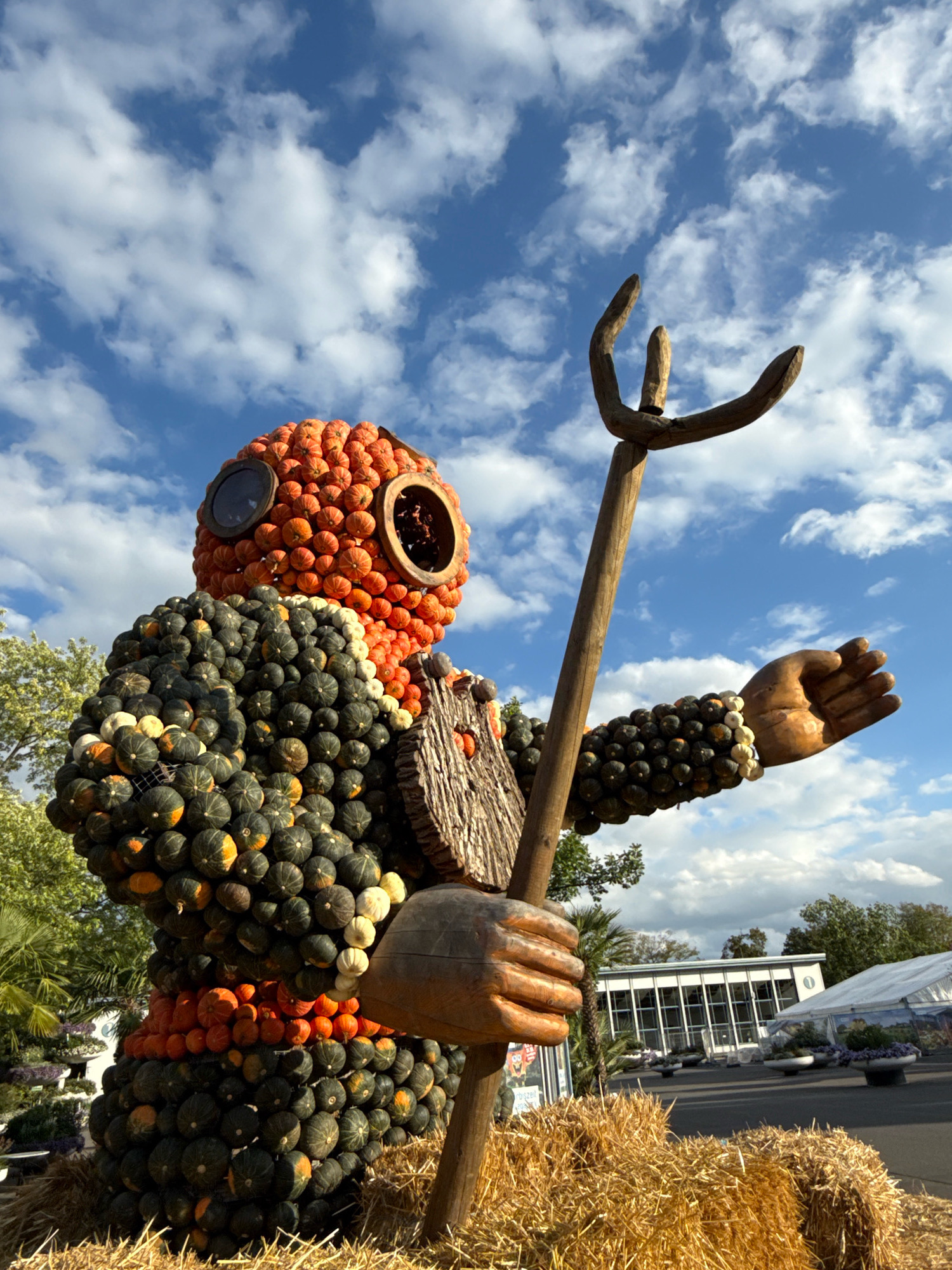 This is a low-angle, full shot of a large sculpture made of pumpkins and gourds, resembling a deep-sea diver, displayed outdoors. The sculpture is the central subject, taking up most of the frame. It is constructed with various sizes and colors of pumpkins, predominantly orange, dark green, and white. The diver's head is round, covered in smaller orange pumpkins, with two large, circular eyeholes made of wood. The body is also densely packed with pumpkins, featuring a texture of dark green gourds and some orange and white accents. A wooden piece, possibly representing a chest plate, is attached to the front of the sculpture, with a textured, bark-like appearance. The diver is holding a wooden trident in its right hand, extended upwards and to the right. The sculpture is positioned on a base of hay bales.
In the background, there are buildings with white facades and a large tent structure, suggesting an event or exhibition space. Trees are visible on the left and behind the structures. The sky above is blue with scattered white, fluffy clouds. The lighting indicates it is daytime, with sunlight illuminating the sculpture and the background. The scene is static, with no people or animals actively engaged in the frame. The location is identified as the EGA (Erfurt Gartenbauausstellung) in Erfurt, Germany, a horticultural exhibition grounds.