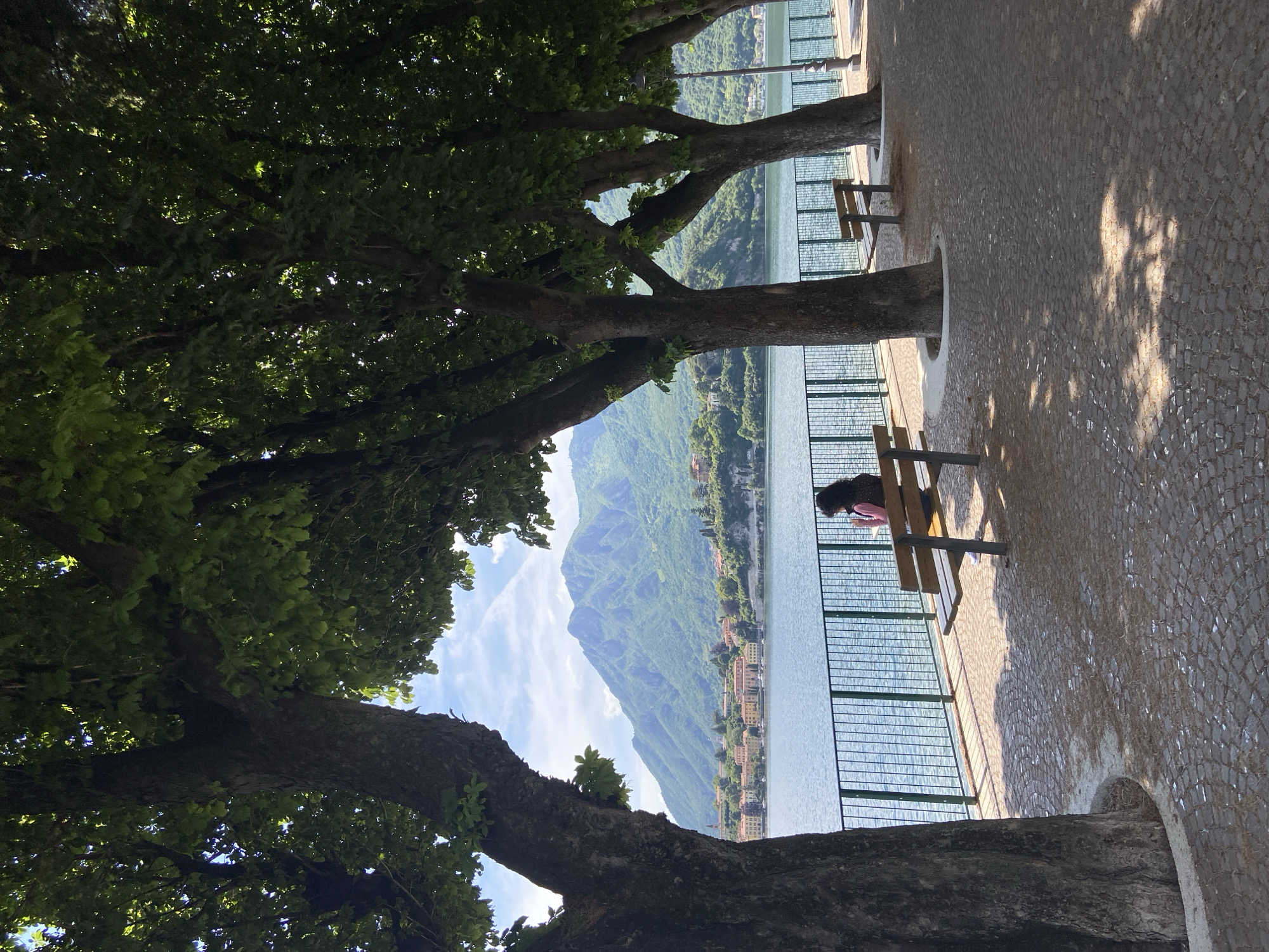 The image depicts a scene in Lecco, Italy, with a focus on the shoreline of Lake Como. The foreground is dominated by large, mature trees lining a cobblestone walkway. A woman is seated on a wooden bench, positioned between the trees and a green metal railing separating the walkway from the lake. In the background, across the lake, is a mountainous landscape with a small village nestled along the shoreline. The sky is partially visible through the trees, exhibiting a combination of blue sky and light clouds.
