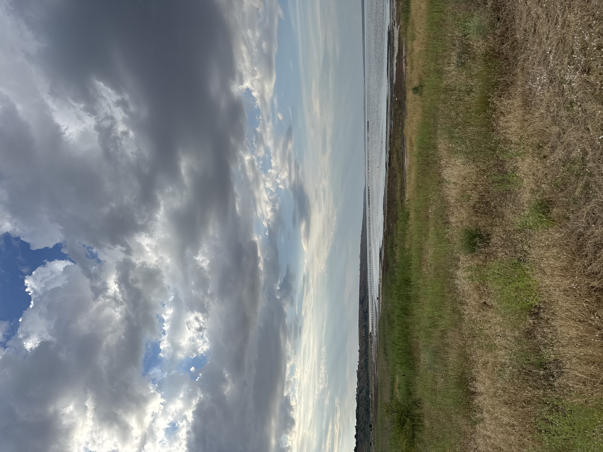 The image depicts a scenic view of the Kuyalnik Estuary in Odesa, Ukraine. In the foreground, dry, golden grass and green reeds line the bank of the estuary. The water of the estuary is calm and reflects the sky. In the middle ground, a line of wooden pylons stretches across the water, possibly remnants of an old pier or structure. A small settlement with houses is visible on the distant hill. The sky is filled with dramatic, dark grey clouds interspersed with patches of blue sky and rays of sunlight, suggesting dynamic weather conditions. The overall scene conveys a sense of natural beauty and a touch of melancholic historical remnants.