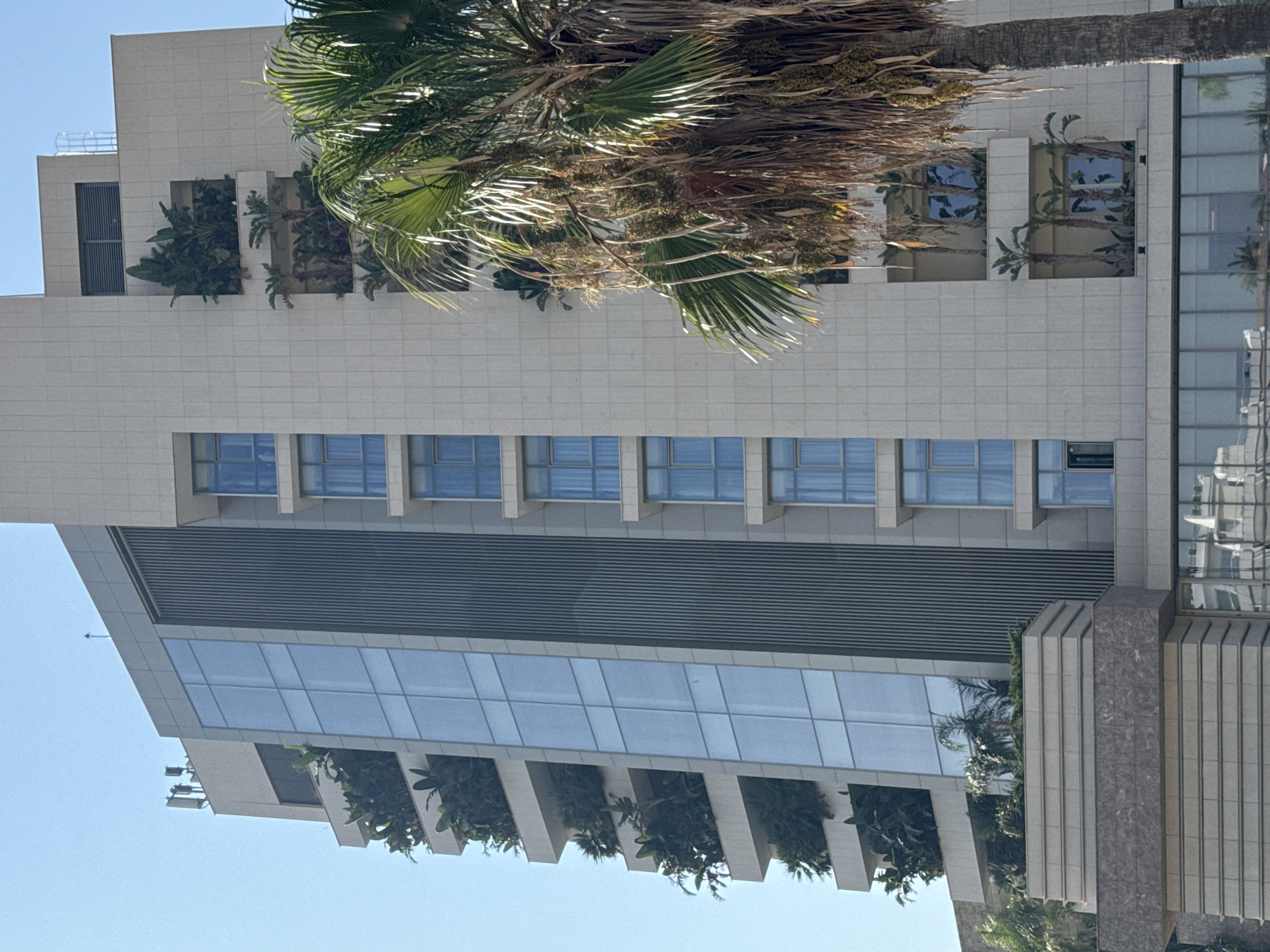 The image shows a modern, multi-story building with a light-colored stone facade. The building features numerous balconies, many of which are filled with lush green plants and trees, creating a vertical garden effect. The balconies are recessed and have a tiered design. A large section of the building's facade is covered by large glass windows, reflecting the blue sky. Another vertical section of the facade is composed of dark, ribbed panels. At the top of the building, there are antennas and other communication equipment. A large palm tree with fronds and visible fruit or seed clusters is prominently positioned in the foreground on the right side of the image, partially obscuring the building. The building appears to be located in a city environment, with the sky suggesting a clear day. The presence of numerous trees and plants on the building suggests an effort towards urban greening. The architectural style is contemporary, with clean lines and a blend of natural elements with modern materials. The scene is devoid of any human presence.