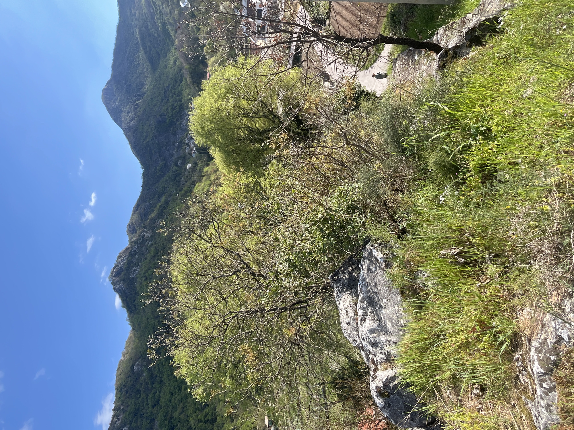 The image captures a scene in Godinje, Montenegro. A prominent mountain covered in green foliage rises in the background against a blue sky with scattered clouds. In the foreground, there are trees with light green leaves and rocks covered in grass and vegetation. A path or road is visible, and a person can be seen walking on it. The environment is predominantly natural with some signs of human presence.