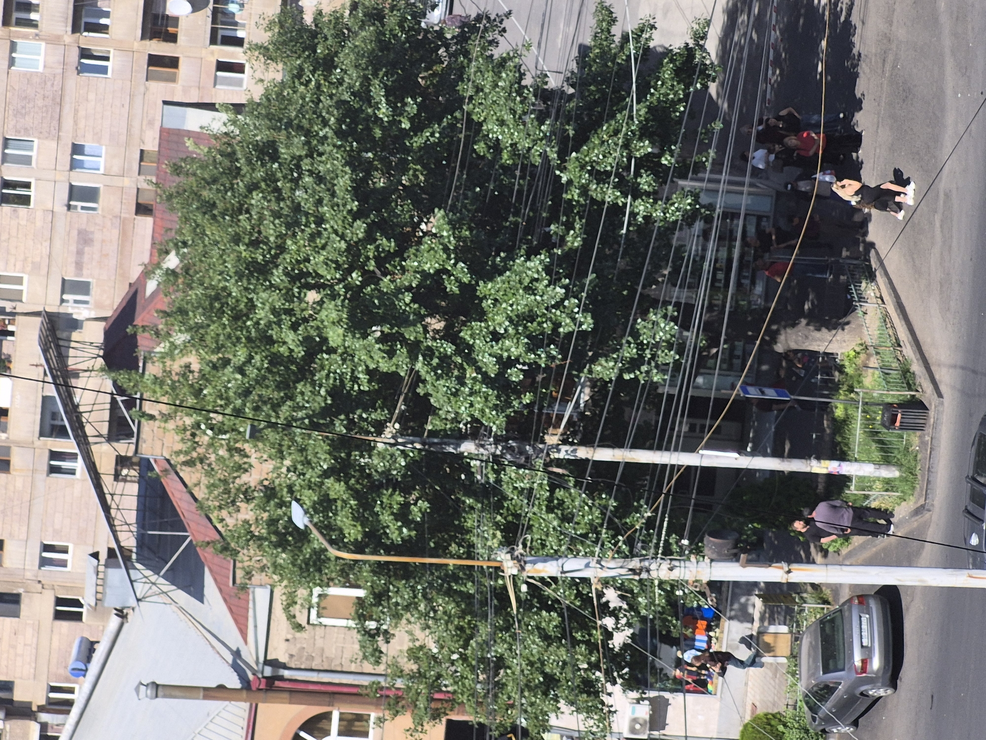 The image presents a high-angle, rotated view of an urban street scene, likely captured from a building overlooking the area. A wide, paved street runs vertically along the right side of the frame, bordered by a sidewalk.
Dominating the center-left is a large, mature tree with dense green foliage, casting significant shadows and indicating bright, sunny weather, possibly late morning or early afternoon. Behind and to the left of the tree are multi-story apartment buildings, characterized by their light-colored, possibly concrete, facades and numerous windows. Some buildings feature red or dark-colored sloped roofs.
Multiple utility poles rise from the sidewalk, supporting a complex and dense network of overhead black wires that crisscross the sky. A prominent, thicker yellow cable is also visible, running diagonally across the scene.
Several people are present on the street and sidewalk. In the upper right section, a group of individuals stands and congregates, some possibly near an establishment. One woman, wearing a black top and white shoes, is particularly noticeable, facing away from the camera. Further down, near the bottom right, a man in a grey top and black pants stands on the sidewalk. Two cars are visible; a silver sedan is parked at the bottom right, and a dark-colored vehicle is partially seen at the far right edge. A green metal fence lines part of the sidewalk.
The scene depicts everyday urban life in a residential or mixed-use area, consistent with the provided location context of Yerevan, Armenia, given the architectural style and visible infrastructure. There is no discernible text visible in the image.