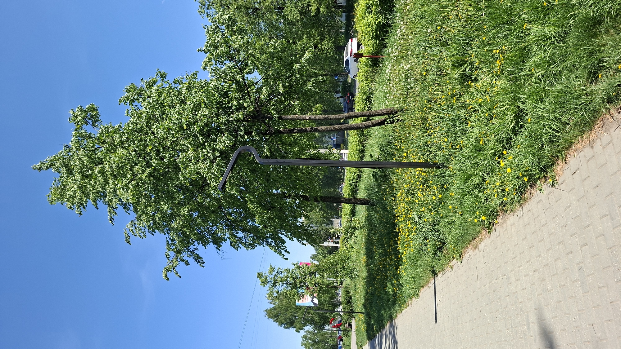 The image shows a sidewalk running parallel to a grassy area with trees and wildflowers in the city of Chaikovsky, Russia. A metal post with a curved top stands between two trees. The sky is blue with minimal clouds. Several cars are visible further down the road, and a red and white traffic sign is present.