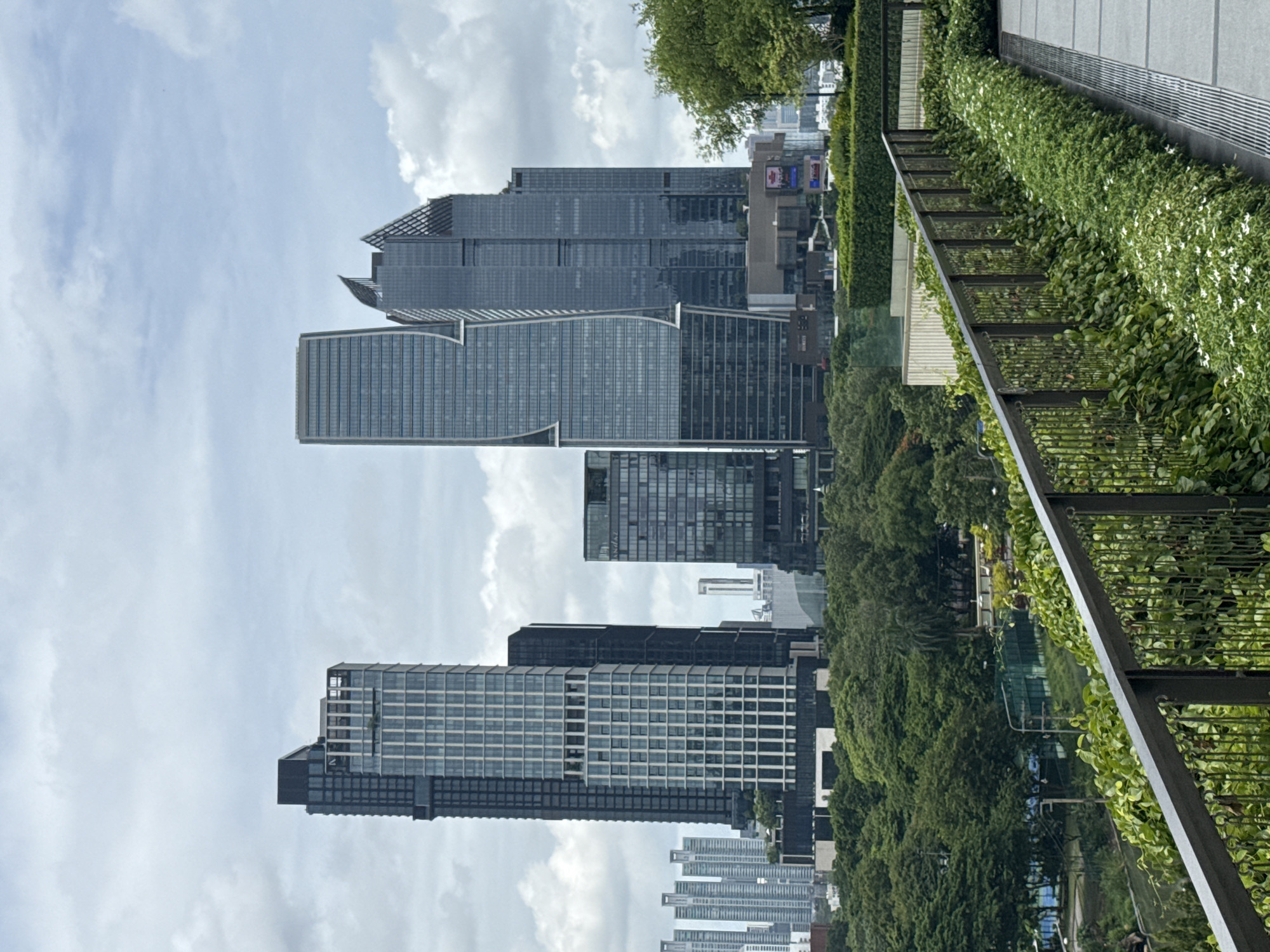 This image captures a view of the bustling cityscape of Bangkok, Thailand, with a focus on modern skyscrapers juxtaposed against lush greenery. In the foreground, a dark metal railing overlooks a tiered garden abundant with dense green foliage and small white flowers, suggesting a well-maintained outdoor space, possibly a rooftop terrace or balcony. A paved walkway with drainage grates is visible to the right.
Beyond the garden, a vibrant expanse of trees forms a dense canopy, indicative of a park or substantial green area within the urban environment. In the mid-ground and background, a cluster of contemporary high-rise buildings dominates the skyline. These structures vary in design, featuring geometric shapes, glass facades, and varying heights, showcasing modern architectural trends. Some buildings exhibit reflective surfaces, while others have distinct patterned exteriors. Distant buildings are visible further back, suggesting the vastness of the city. The sky is overcast with numerous fluffy white clouds, creating a diffused, soft lighting effect across the scene. No people are discernible in the image.