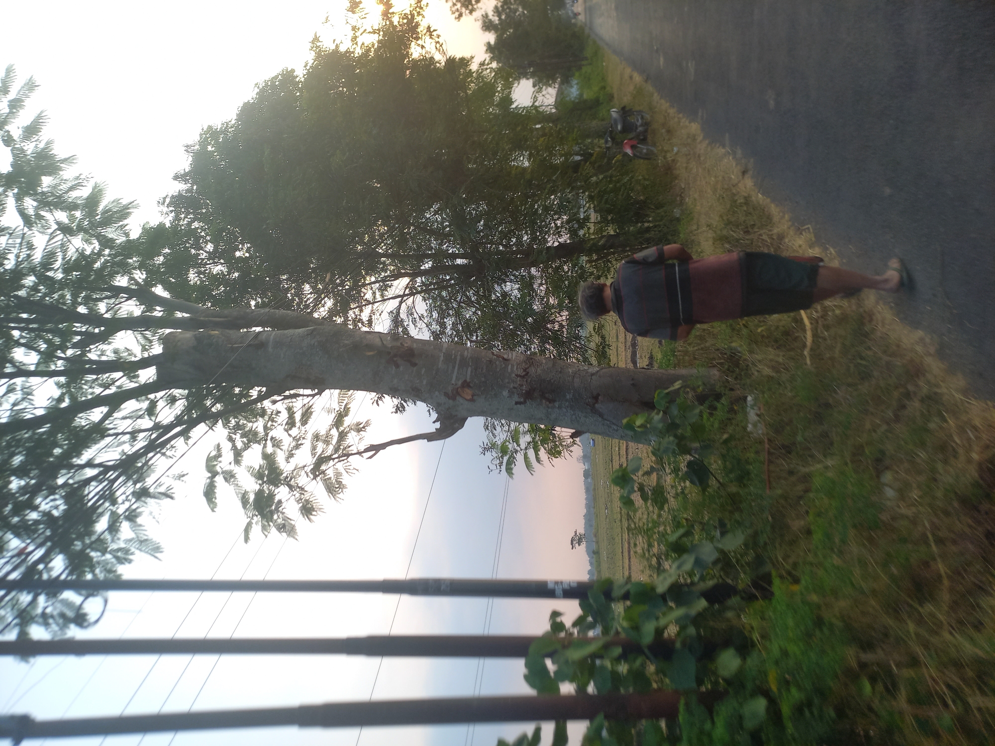 A man is walking down a paved road in Gabusbanaran, Indonesia. The man is wearing a dark shirt with horizontal stripes and dark shorts. He is wearing sandals. The road is lined with trees and vegetation. In the background, there is a field and power lines. A motorcycle is parked on the side of the road. The sky is overcast. The time of day appears to be late afternoon or early evening. The overall scene is rural and tranquil.