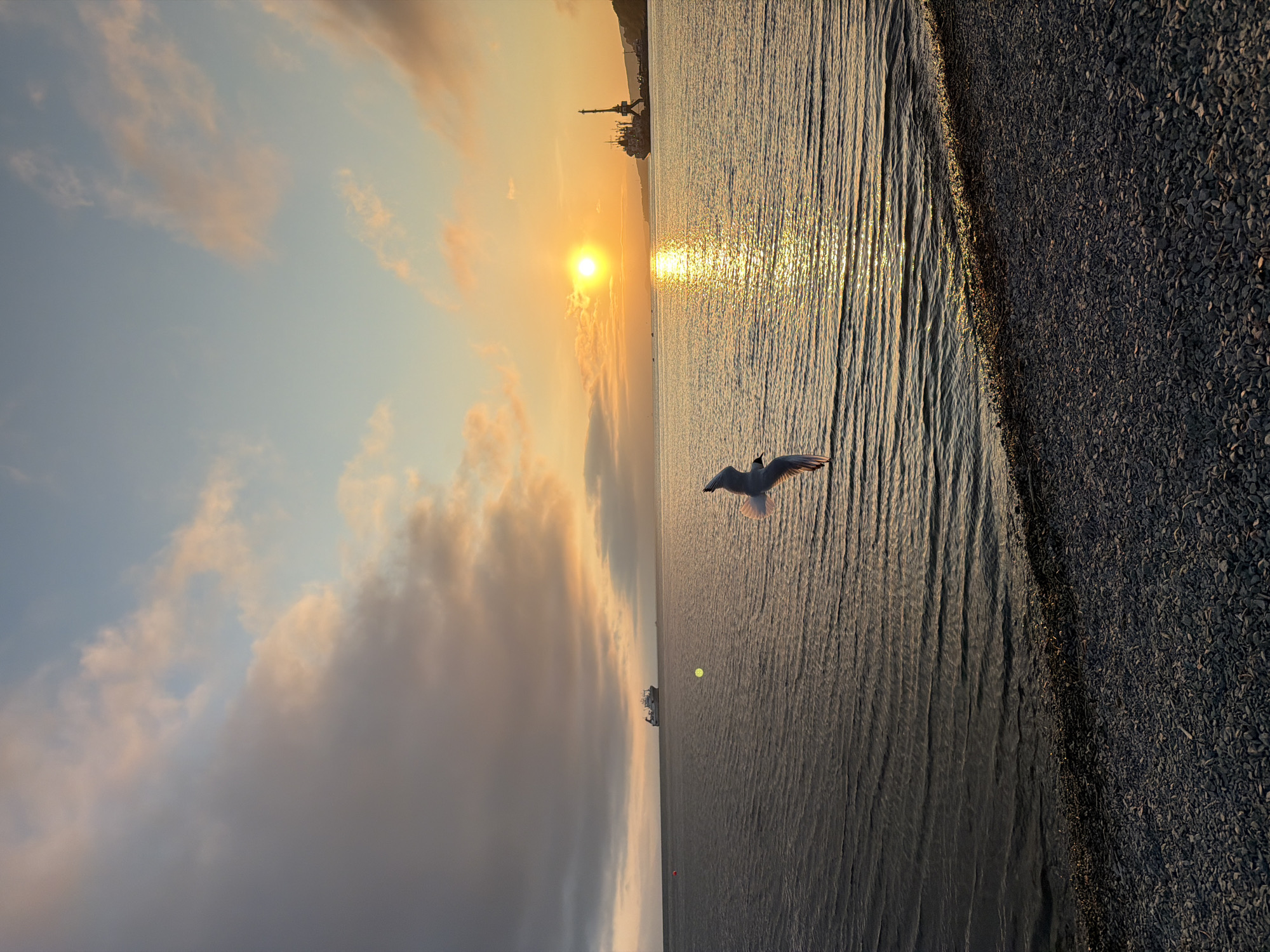 A single seagull in flight is positioned in the center of the frame, wings spread against a backdrop of a golden sunset over a body of water. The sun is low on the horizon, casting a shimmering reflection on the rippling surface of the sea. In the distance, a cargo ship is visible on the left, and a port with cranes and another ship is on the right, suggesting a coastal urban environment. The foreground consists of a rocky shore. The sky is a mix of blues and oranges, with scattered clouds tinged by the setting sun. The overall scene evokes a peaceful, natural setting within a presumably industrial port area in Petropavlovsk-Kamchatsky, Russia.