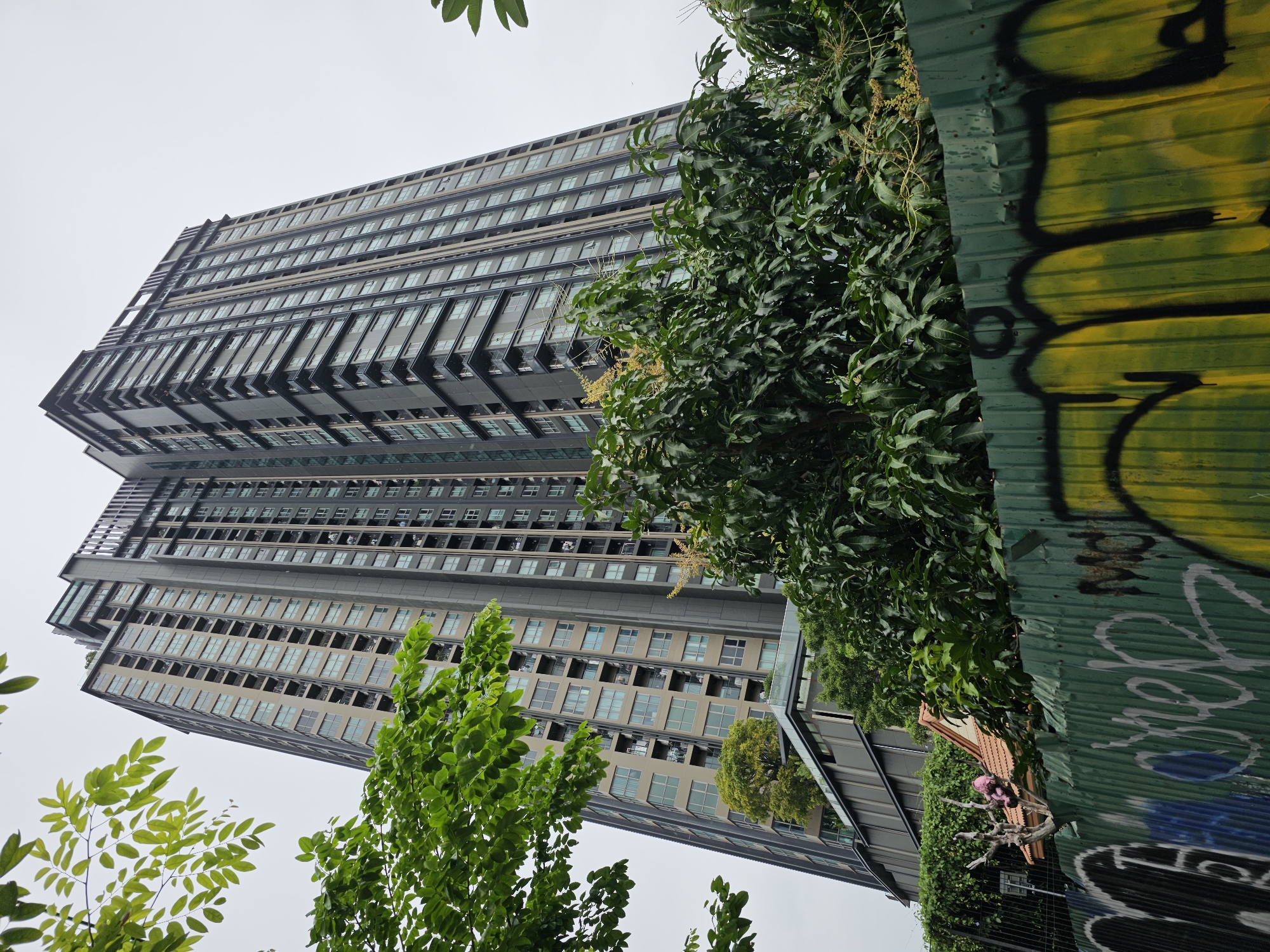 The image shows a tall, modern apartment building in Bangkok, Thailand, viewed from a low angle. The building is characterized by its dark gray facade, numerous windows with light blue tint, and multiple balconies. Trees with lush green foliage are in the foreground and surrounding the lower levels of the building. A green corrugated metal fence covered in graffiti runs along the bottom of the image. Behind the fence and to the left of the building, a small building with an orange tiled roof is visible, with a pink stuffed toy perched on a dead tree branch above it. The sky is overcast.