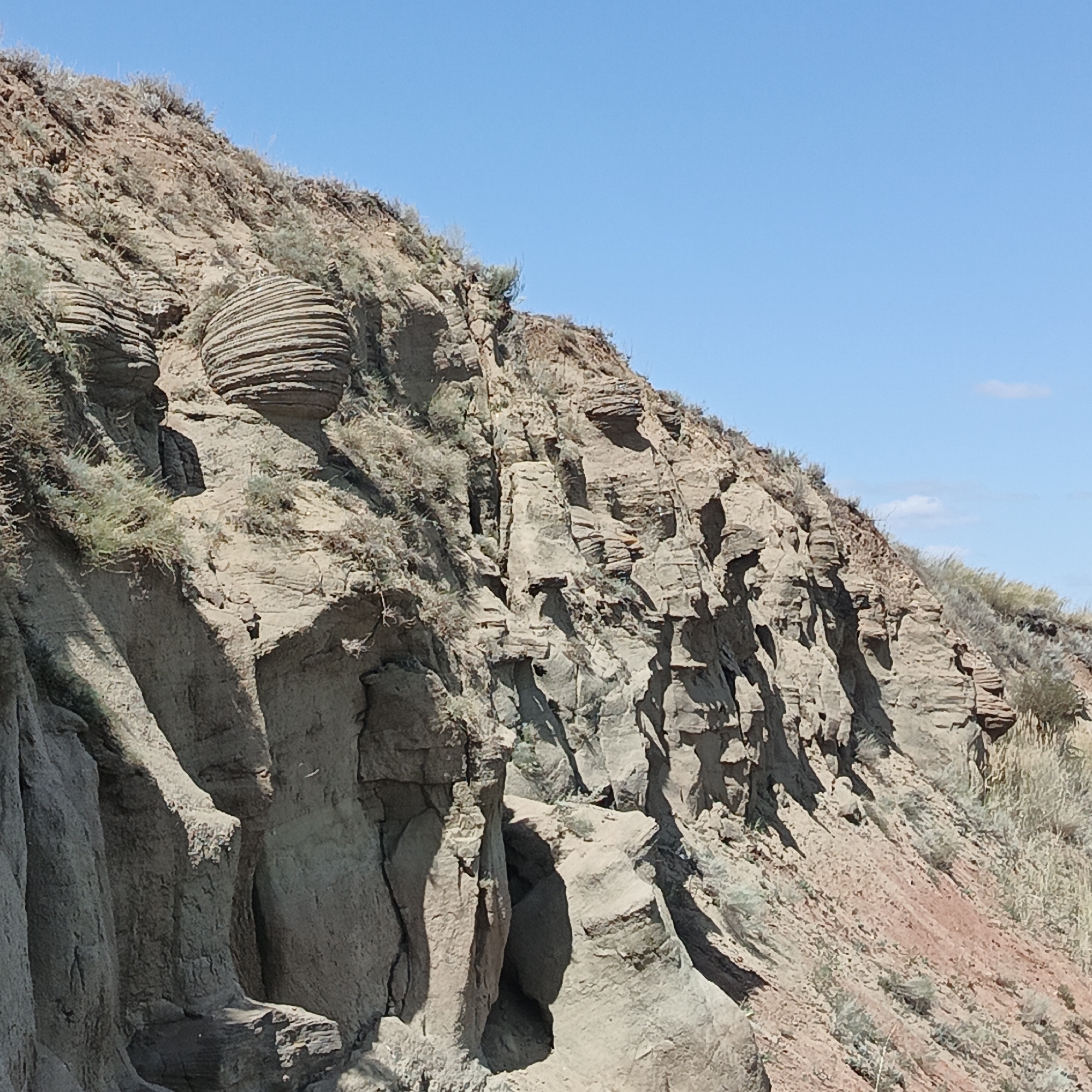The image depicts a geological formation with a clear blue sky above. The formation consists of layered rock in shades of tan and gray, with some areas showing reddish hues. Vegetation, appearing as dry, sparse grasses and small shrubs, is scattered across the slopes of the formation. The rock layers are visible, showing signs of erosion and weathering. A distinct spherical rock formation with horizontal striations is prominently featured on the left side of the image. The overall scene suggests a natural landscape, possibly a hillside or a canyon wall. There are no people or animals visible in the image. The location is stated to be in the city of Mikhailovka, Russia.