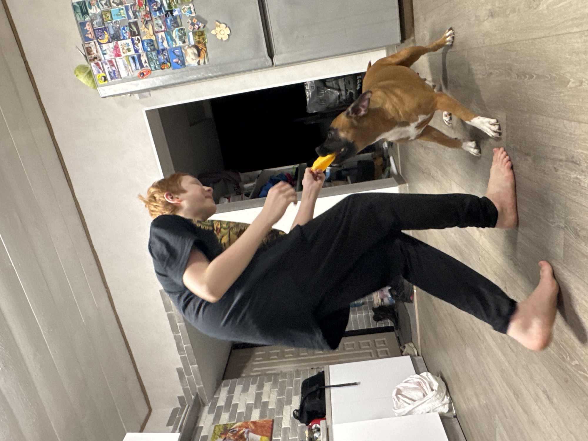 A fair-skinned person with red hair, dressed in a black t-shirt and black pants, is standing barefoot on a wood-look floor, holding a yellow toy. The person is interacting with a tan-colored dog with white markings on its chest and paws, who is reaching for the toy. In the background, there is a refrigerator with magnets attached, a black opening (likely an oven), a tiled wall, and other kitchen items. The location is likely an apartment in Chaikovsky, Russia.