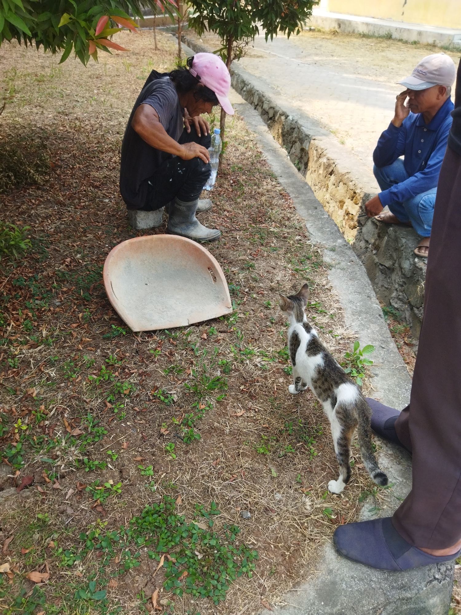 In the city of Suka Sari, Indonesia, two individuals are observed in an outdoor, possibly public, area. The first individual, wearing a dark t-shirt, black pants, grey rubber boots, and a pink baseball cap, is crouched on a concrete block. They are tending to something on the ground, with a plastic bottle of water beside them. A wide, shallow, tan-colored scoop-like object lies on the dry, leaf-strewn ground in front of them. The second individual, wearing a blue long-sleeved shirt, blue jeans, and a light-colored cap, is squatting near a stone-lined ditch. They appear to be touching their face. Partially visible in the foreground is a third person wearing dark pants and dark slip-on shoes. A tabby and white cat is positioned between the first individual and the ditch, looking towards the second individual. The environment consists of dry grass, fallen leaves, and some scattered green plants. Trees with green and reddish leaves are visible in the background. The ground appears to be dirt and dry vegetation, with a concrete pathway or edge running along the ditch.