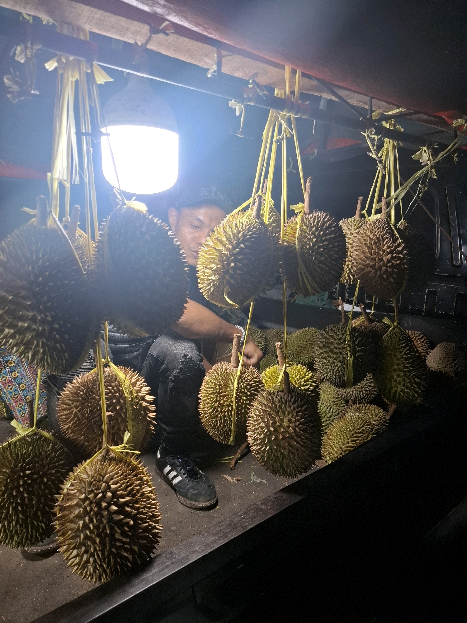 A vendor is seen with a large pile of durian fruit, a tropical fruit native to Southeast Asia. The durians are hanging from yellow strings, and a light bulb illuminates the scene, indicating it is likely nighttime or a dimly lit market stall. The vendor is wearing a black baseball cap and ripped black jeans, and he is sitting among the fruit, possibly preparing to sell them. The background is dark and indistinct, but it appears to be an outdoor setting, possibly a street market in Cianjur, Indonesia, given the prevalence of durian cultivation and sale in that region. The durian fruit itself is known for its spiky exterior and strong odor, and it is a popular delicacy in Southeast Asia.