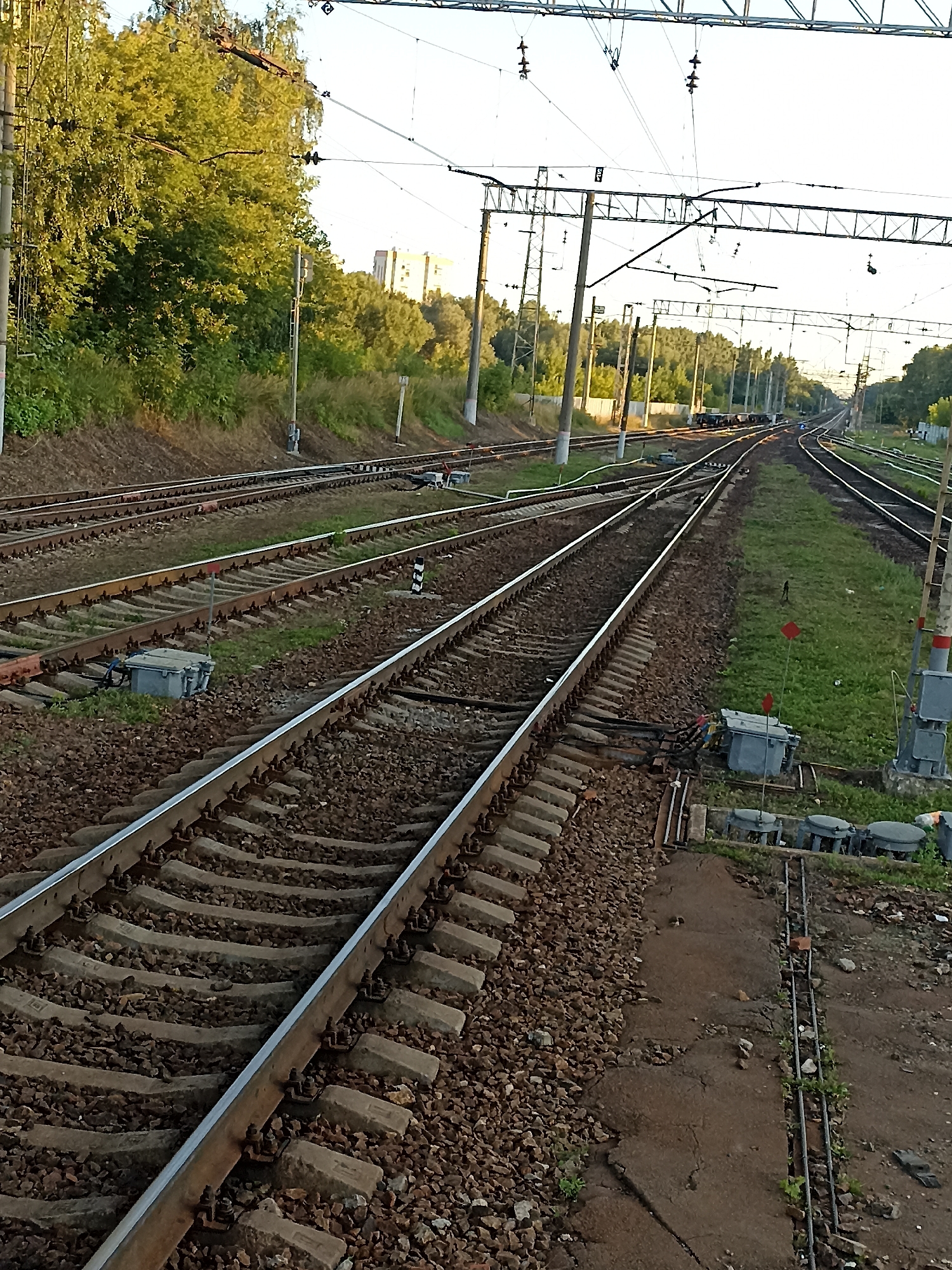 The image shows multiple train tracks converging and diverging in a rural or suburban area. The tracks are made of metal rails supported by concrete sleepers and ballast. There are overhead power lines and signal posts along the tracks. Vegetation, including trees and grass, is visible on the sides of the tracks. In the distance, buildings and more trees can be seen. The scene appears to be a railway yard or a junction. There are no people visible in the image. The sky is clear and bright.