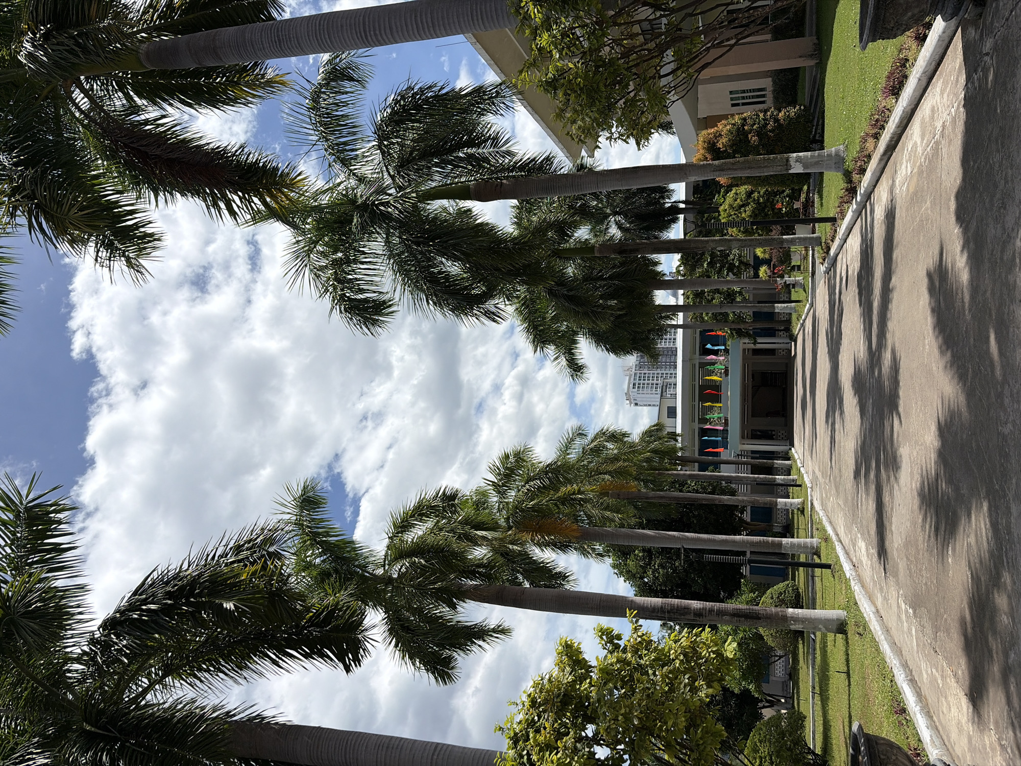 A straight, concrete walkway leads towards a building flanked by rows of tall palm trees. The walkway is shaded by the trees, creating dappled shadows on the pavement. The building in the distance has a light-colored facade and is adorned with colorful flags. Beyond the building, several high-rise structures are visible, indicating an urban setting. The sky is blue with scattered white clouds. The scene suggests a public or institutional space, likely within a city like Da Nang, Vietnam, given the tropical vegetation and architecture.