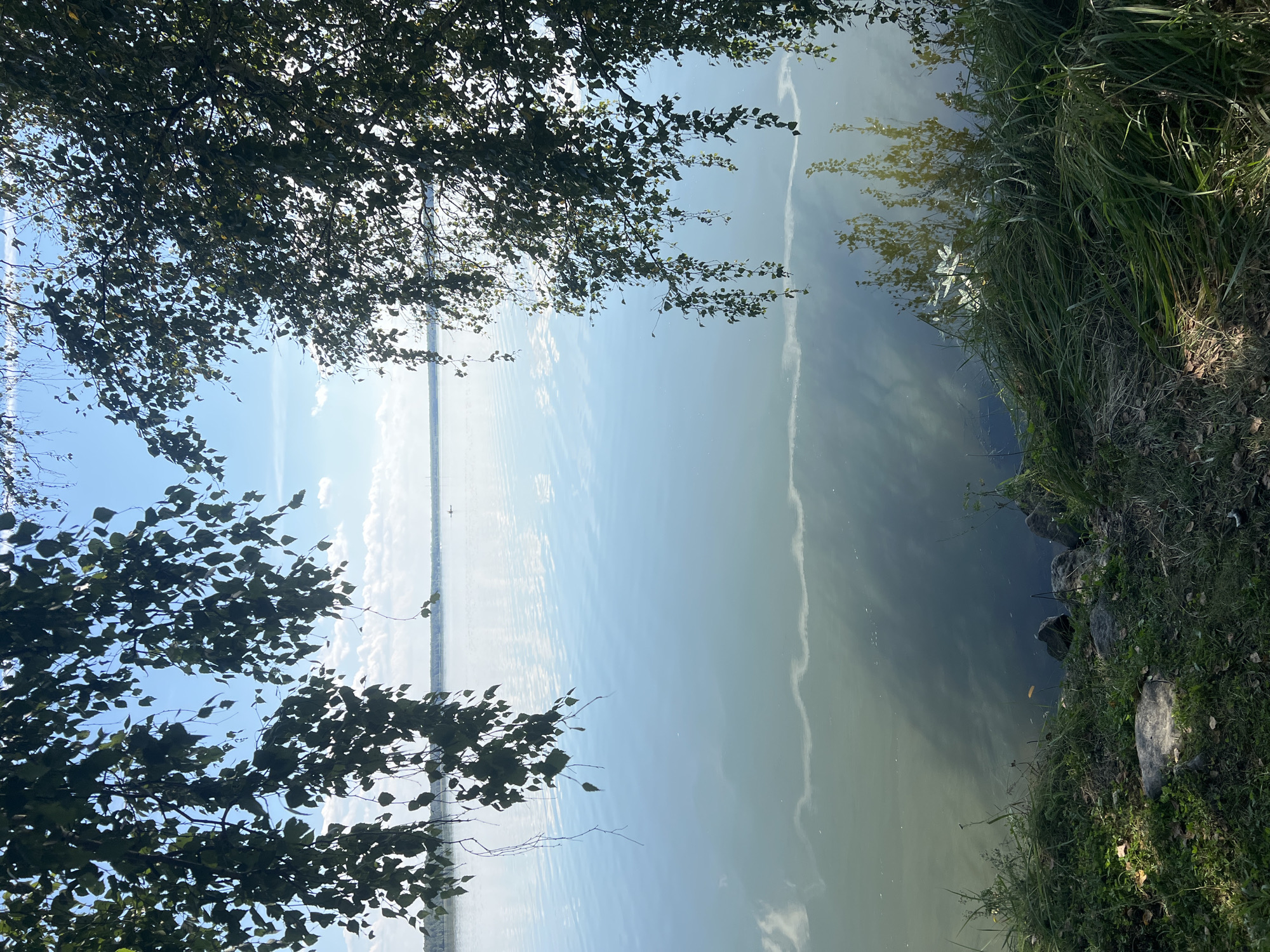 The image captures a serene lakeside scene at Polovinnyi, Russia, on a clear day. Overhanging branches of a leafy tree frame the upper left and right portions of the composition, casting dappled shadows. The calm, expansive lake stretches across the middle and right of the frame, reflecting the blue sky and scattered white clouds. In the distance, a thin, treed shoreline is visible, with a small boat on the water. The foreground consists of a grassy embankment with scattered rocks, leading down to the water's edge. The overall impression is one of tranquility and natural beauty.