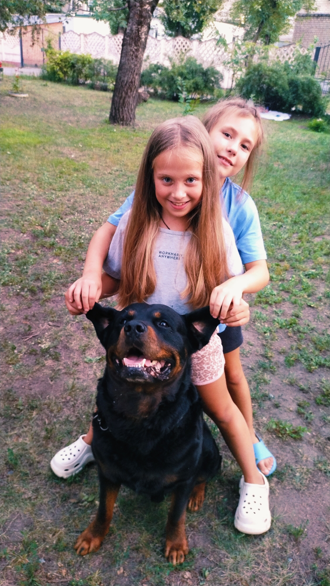 The image depicts two young girls and a Rottweiler dog outdoors, likely in a residential backyard. The girls are positioned behind the dog, with the girl in front on the left smiling at the camera and holding the dog's ears. The girl behind her, on the right, is also smiling and has her arms around the dog. The dog is sitting and looking forward with its mouth open. Both girls are wearing casual clothing. The environment appears to be a grassy yard with trees and some fencing in the background. The overall impression is a casual, happy moment.