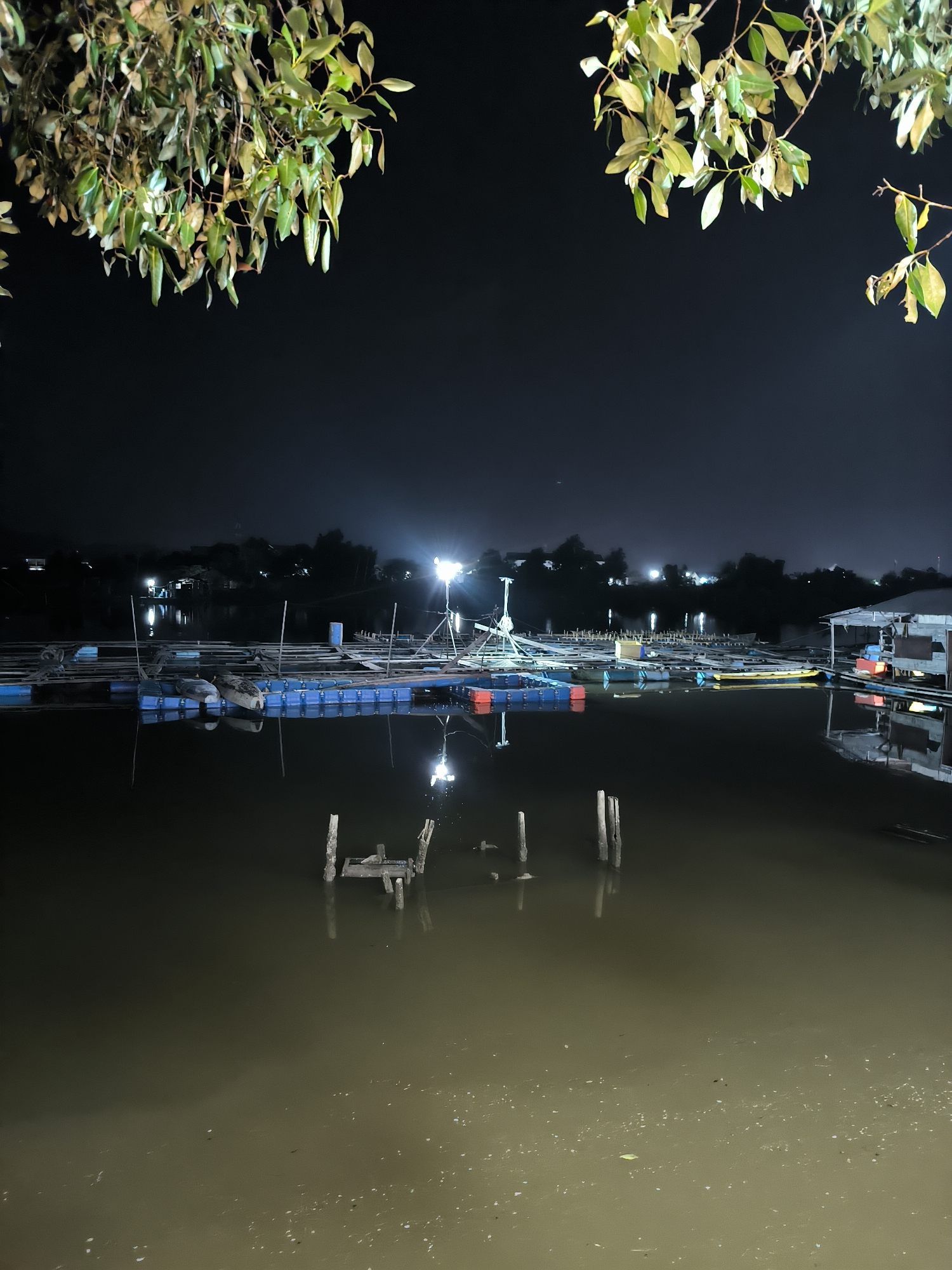 The image depicts a nighttime scene at a fish farm in Lhokseumawe, Indonesia. The foreground is dominated by a murky body of water with scattered debris and reflections of lights. In the midground, a series of interconnected floating platforms, likely part of the fish farm, are visible. These platforms are constructed with blue and orange buoys, wooden structures, and some yellow elements. Several boats, some appearing partially submerged or weathered, are moored on or near the platforms. Bright artificial lights illuminate sections of the fish farm and the surrounding area. In the background, a silhouetted treeline separates the water from a distant settlement with more lights. Overhead, branches with green and yellow leaves hang from the top of the frame, adding a natural element to the otherwise man-made and dimly lit environment. The overall impression is one of a functional aquaculture operation at night.