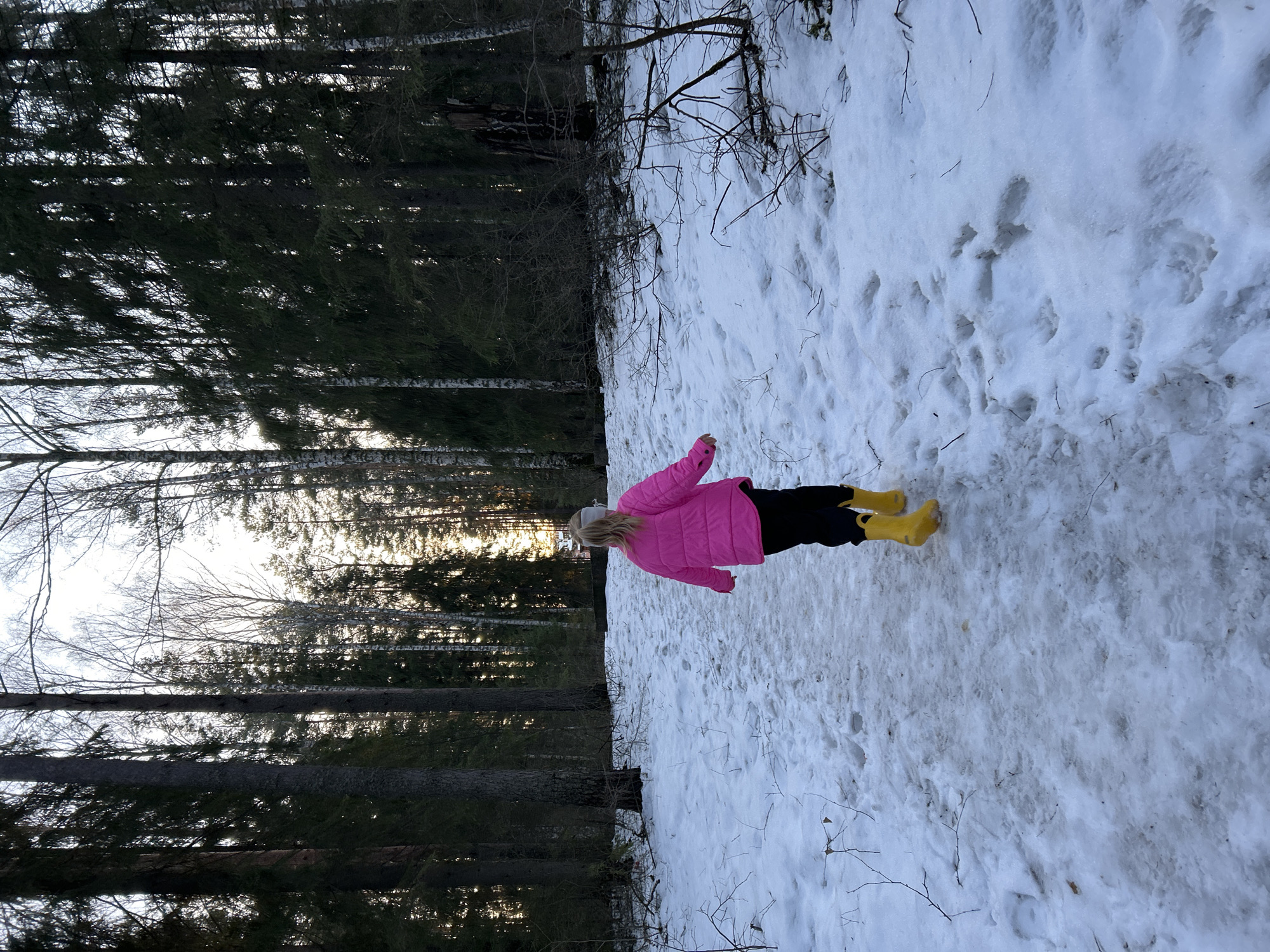 A young person stands in a snowy area adjacent to a forest. The person is wearing a pink jacket, black pants, and yellow boots. The surrounding environment is covered in snow, with a dense forest bordering the snowy area. The location is inferred to be near Noviy, Russia, based on contextual information.