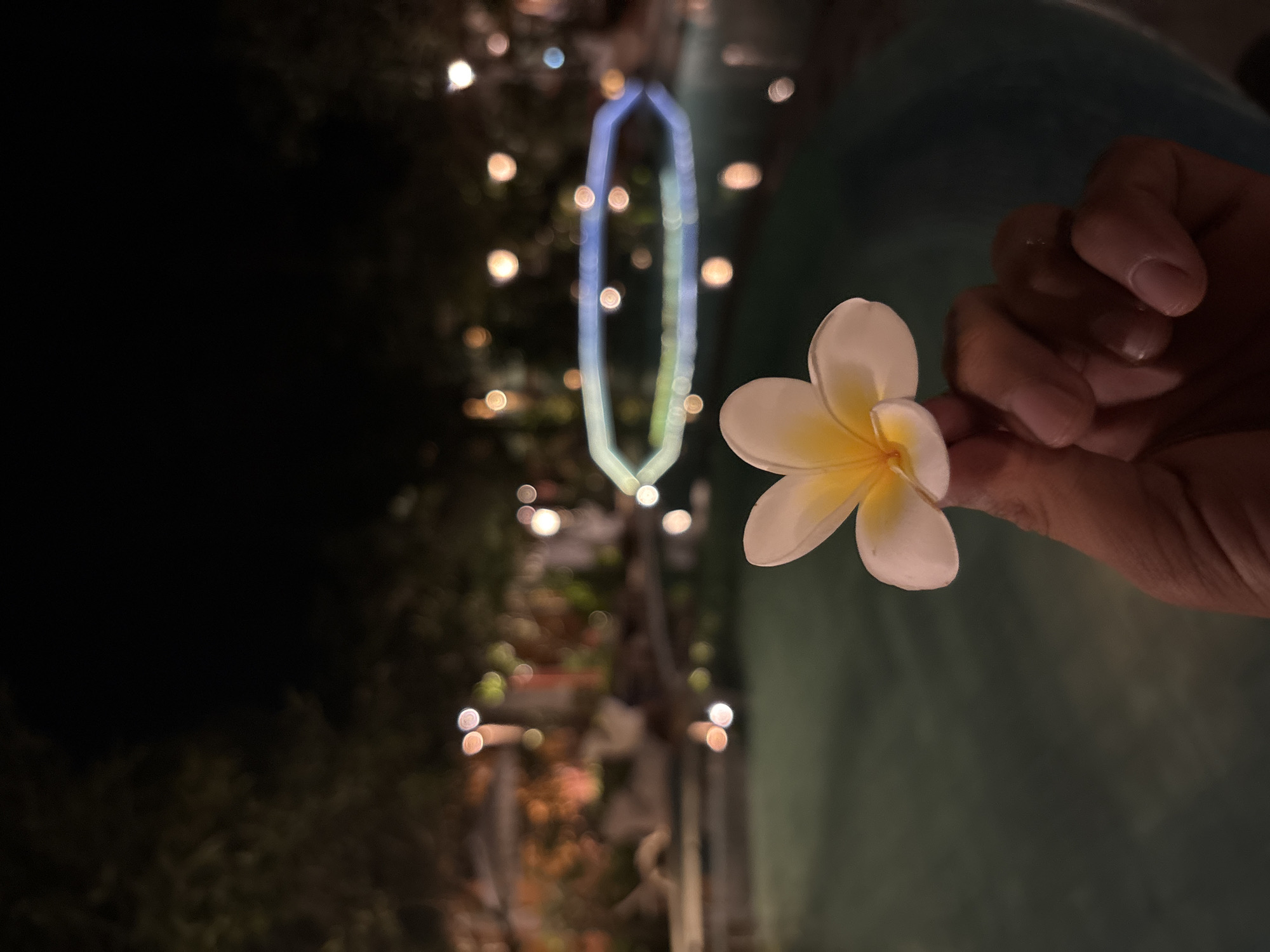 A hand holds a white and yellow frangipani flower in the foreground. The background is a dimly lit outdoor scene with trees and blurred lights, suggesting nighttime. A swimming pool with illuminated blue and white lights around its perimeter is visible in the middle ground, reflecting the lights in the water. The overall ambiance is serene and tropical, possibly a resort or a well-maintained garden in Chalong, Thailand.