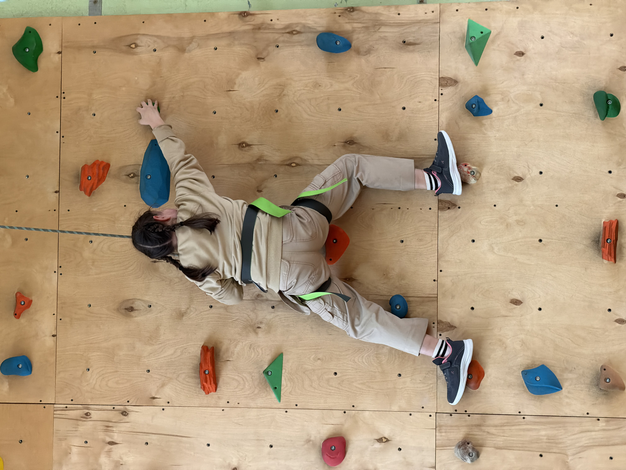 An overhead shot captures a young person actively climbing an indoor wall, likely in Izhevsk, Russia. The climber, who appears to be a girl with dark braided hair, is dressed in a light beige long-sleeved top and matching cargo-style pants. She wears dark sneakers with white and pink striped socks and is secured by a green and black climbing harness.
The climbing wall is constructed from large, light-toned wooden panels, revealing visible wood grain and dark screw heads that fasten the panels to a frame and secure the various climbing holds. Numerous colorful holds of different shapes and sizes are bolted onto the wall. These include vibrant green, blue, orange, and red holds, as well as some in a muted grey/brown. Small numbers, such as "1" and "3," are visible on some of the holds, possibly indicating routes or difficulty levels.
The climber is positioned horizontally across the frame, engaged in an upward movement. Her right hand reaches for a small green hold, while her left arm is bent, supporting her weight. Her left foot is firmly placed on an orange hold, and her right foot also maintains contact with a hold. The background above the climbing wall appears to be a light green painted surface. The image depicts a focused moment of recreation or training on an indoor climbing structure.
