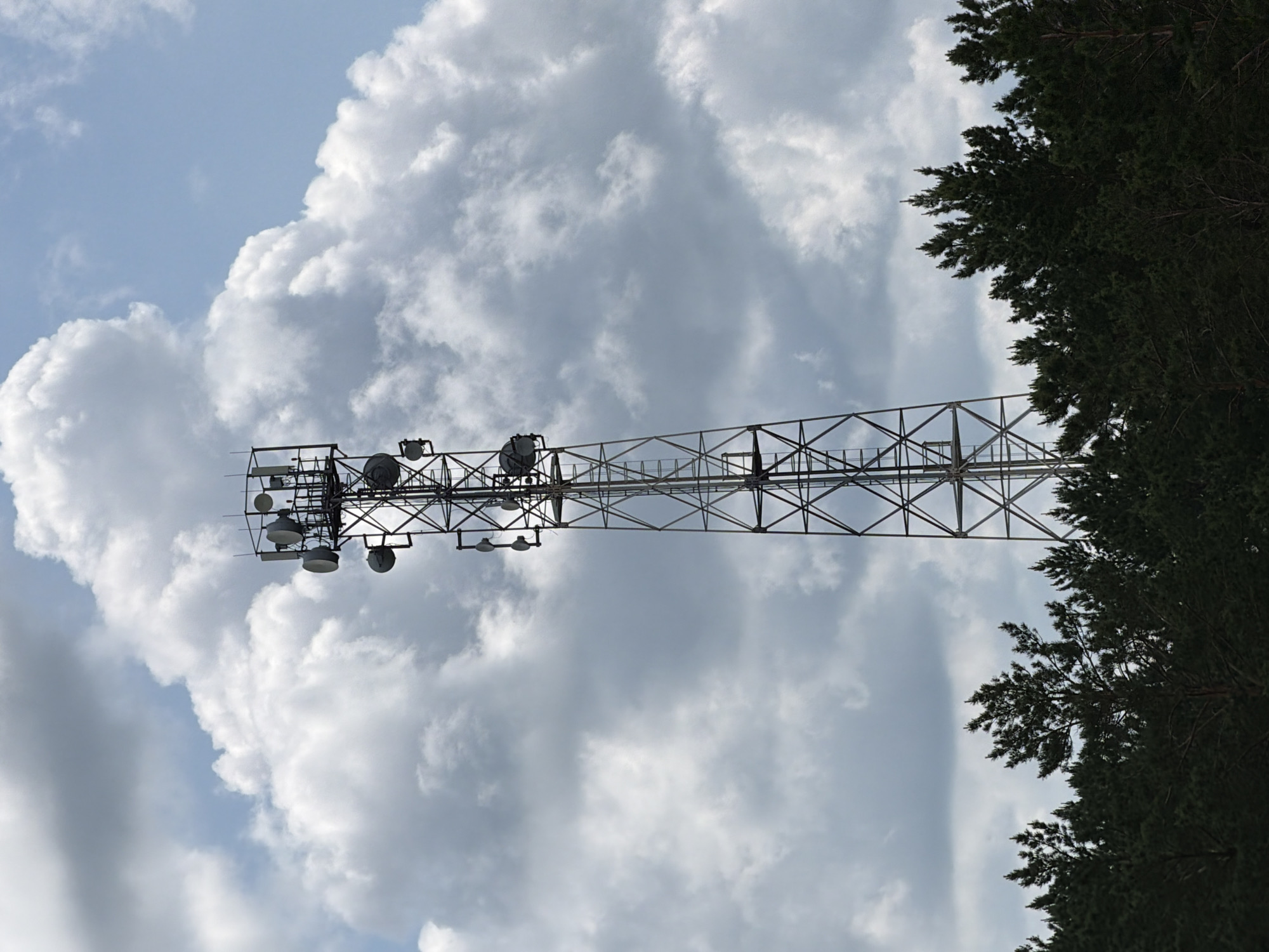 A tall, lattice communication tower is centered in the frame, extending from just above a dense line of dark green pine trees to a partly cloudy sky. The tower is made of metal supports and has several antennas and satellite dishes mounted at various levels. A ladder runs vertically along one side of the tower. The trees form a dark, textured band across the bottom of the image. The sky above is a mix of bright blue and large, fluffy white and gray clouds. The scene appears to be located in an outdoor, possibly rural or semi-rural, area. There are no people or animals visible in the image. The setting is consistent with a location in or around the city of Tsiolkovsky, Russia, given the presence of such infrastructure and coniferous forests common to the region.