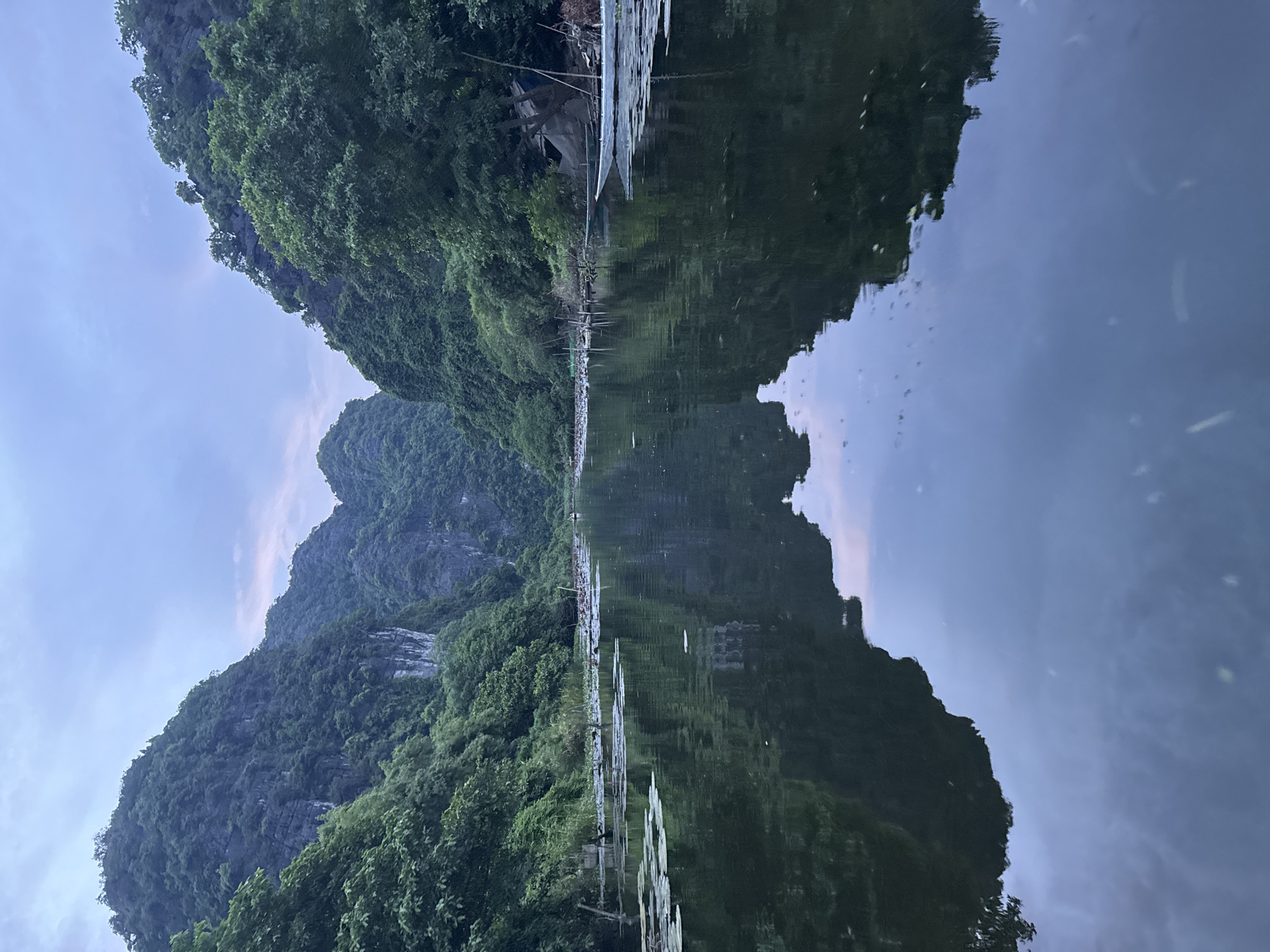 The image depicts a serene river scene in the Ninh Bình Province, Vietnam, specifically in the area of Tam Cốc-Bích Động, which is part of Nam Hoa Lư Ward. The photograph is taken from a low vantage point on the water, looking down a narrow waterway flanked by towering, lush green karst mountains. The water itself is calm and reflective, mirroring the dramatic geological formations and the overcast sky, which has a soft, diffused light.
In the foreground, the water is dark and smooth, with scattered lily pads floating on the surface. The reflections of the mountains and trees are clearly visible. As the river recedes into the distance, the banks become more defined, lined with dense vegetation and trees. Along the right bank, a few rudimentary structures, possibly shelters or storage areas, are visible, along with some fishing boats moored. One of these boats, a light-colored skiff, is partially visible.
The karst mountains dominate the upper portion of the image, their steep, rocky faces covered in vibrant green foliage. The scale of these mountains is impressive, creating a sense of being enveloped by nature. The sky above is a pale blue-gray, indicating either early morning or late evening. There are no visible people actively engaged in any activity, lending to the peaceful and tranquil atmosphere of the scene. The overall impression is one of natural beauty and quietude, characteristic of the limestone karsts and rivers of this region.