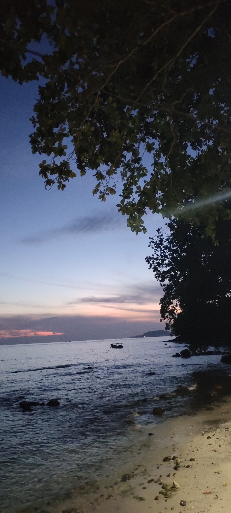 The image depicts a serene sunset scene at a beach in Sabang, Indonesia. The sky transitions from a deep blue at the top to soft hues of pink and orange near the horizon, indicating twilight. A faint crescent moon is visible in the upper right quadrant of the sky. Overhanging branches and dark foliage from trees frame the upper portion of the image, casting shadows on the scene.
The calm sea occupies the middle ground, with gentle waves lapping at the shore. A small boat is anchored in the water, its silhouette dark against the colorful sky. In the distance, a hilly coastline is visible. The foreground features a sandy beach dotted with rocks and pebbles. The lighting suggests that it is either dusk or dawn, with natural light from the setting or rising sun creating a subdued atmosphere. There are no people visible in the image. The overall impression is one of tranquility and natural beauty.