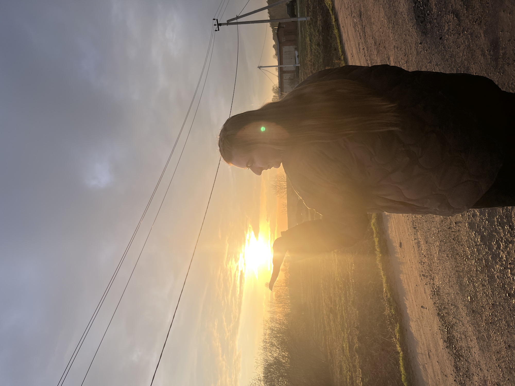 The image, taken in Razdolye, Russia, captures an outdoor scene during sunrise or sunset, characterized by warm, golden light. A person, likely female, with long, light brown hair, is positioned in the foreground on the right side, mostly silhouetted against the bright sun. She is shown in profile, looking downwards towards her hands, which are raised in front of her. Her right hand is slightly cupped, creating the illusion that she is holding or interacting with the intensely glowing sun.
The sky in the upper portion of the frame is largely overcast with soft grey clouds, but the low sun pierces through, casting a radiant, warm light across the landscape. A distinct green lens flare is visible near the person's head, a common effect when shooting directly into a bright light source.
In the mid-ground, a dirt road or path runs along the right side, extending into the distance. To the left of the path are fields or grassy areas with scattered bare trees and bushes. In the far background, faint outlines of distant structures, possibly buildings, can be seen. On the left side of the image, multiple power lines stretch across the frame, supported by wooden utility poles, indicating a semi-rural or rural setting.
The overall mood is peaceful and warm, highlighted by the dramatic golden hour lighting. No visible text is present in the image.