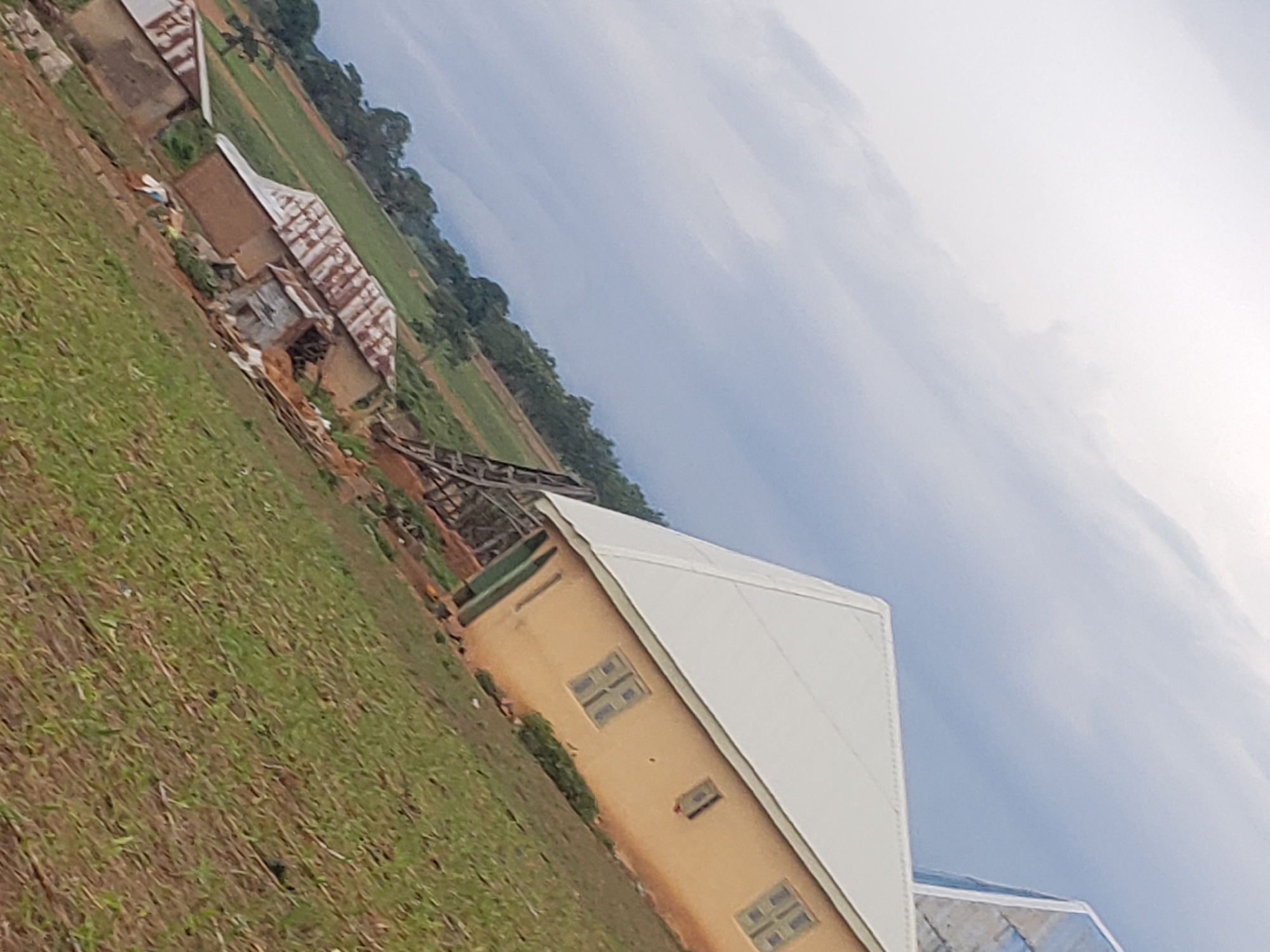 A slightly tilted, eye-level, long shot captures a rural scene under a cloudy sky. In the foreground, green, young crops cover a hillside that slopes upwards to the right. Two dilapidated, single-story buildings with corrugated metal roofs stand on the middle ground to the left. The building on the right shows signs of damage and debris scattered around it, with a rickety wooden ladder leaning against it. Further to the right and slightly behind, a larger, light-yellow, two-story structure with a white, sloped roof is visible. This building has several windows with green frames and appears to be in better condition than the smaller buildings. The background features a line of trees and a continuation of the green landscape. The overall impression is one of a rural settlement, possibly in a developing area, with some structures showing signs of age or disrepair.