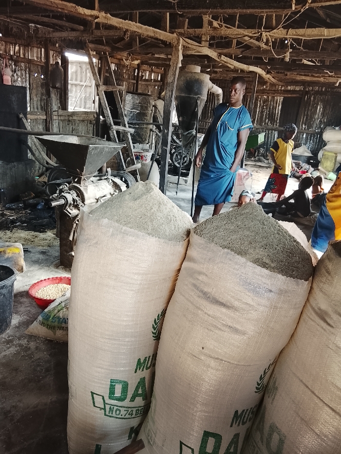 The image depicts an indoor industrial processing facility located in Katcha, Nigeria. The structure features a visible wooden beam ceiling support system and corrugated metal walls.
In the foreground, several large, white woven polypropylene bags are filled to capacity with a light-colored, granular substance, likely processed agricultural material. Green lettering on some bags identifies them with "MUSA," "DALA," and "NO. 74 BEL," alongside a green wheat stalk logo.
To the left, a large metal grinding or milling machine with a square hopper and exposed mechanical components is operational or set up for use. Near the machine, a red plastic bowl containing yellow grains and a black bucket rest on the dusty floor. Spilled powdery residue is visible across sections of the floor.
An adult male with dark skin, dressed in a teal-blue long-sleeved tunic with white trim, stands upright in the center, facing slightly to the right of the viewer, observing the scene. In the mid-ground and background, additional industrial equipment, including large cylindrical tanks, a tall conical structure, and ladders, are present. Several other individuals, primarily children, are distributed within the space; one child in a yellow shirt and dark pants stands, while others are seated or stooping on the floor among the machinery. Natural light enters the facility, illuminating the interior and casting shadows. The scene indicates an active processing and storage environment.