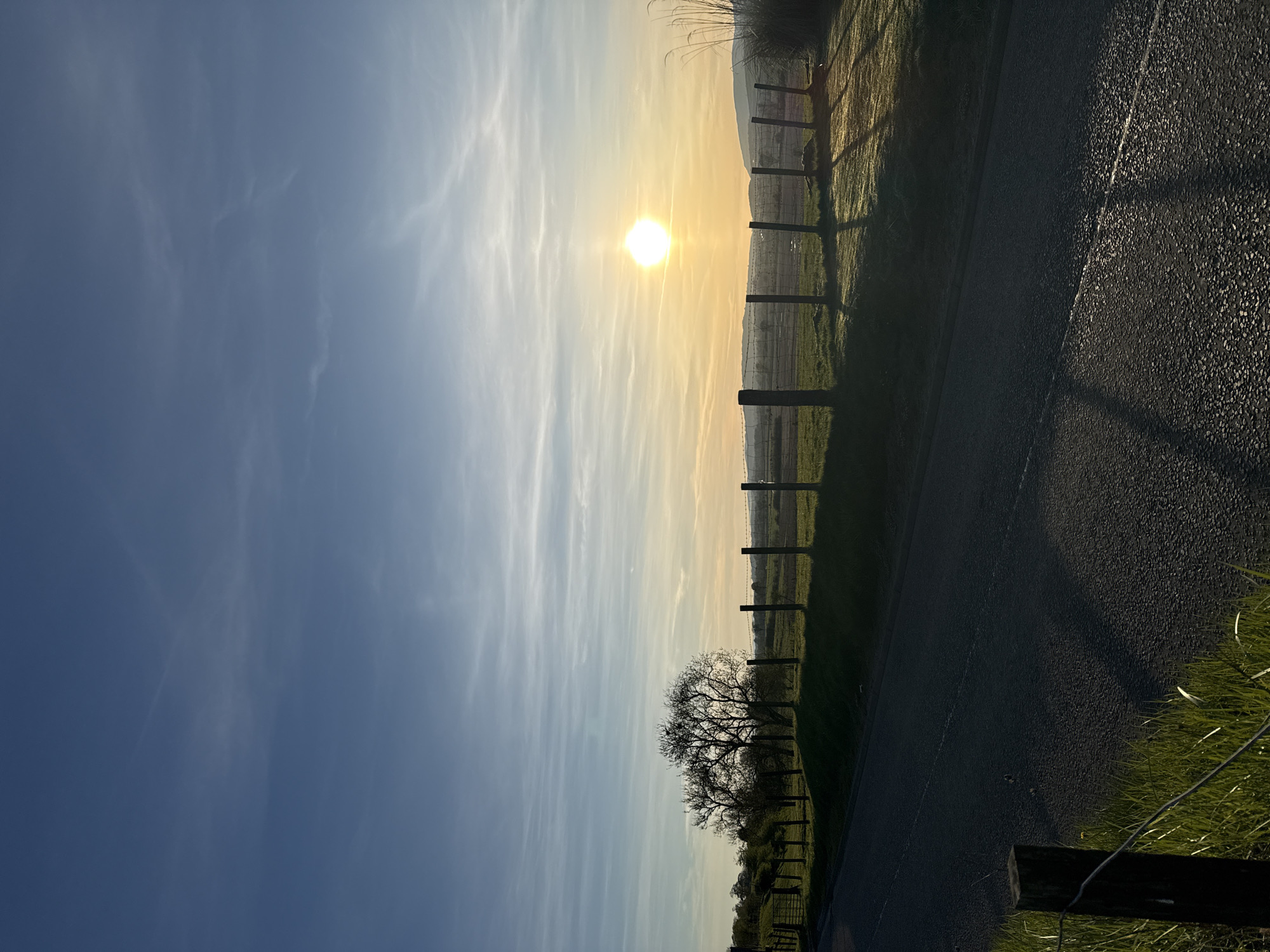 The media file displays a rural landscape scene captured during either sunrise or sunset, evidenced by the low angle of the sun and long shadows. The image is oriented vertically but depicts a horizontal landscape.
The upper portion of the image shows a blue sky, gradually transitioning to a golden-orange hue near the horizon. Wispy, elongated clouds stretch across the sky, particularly concentrated in the middle where the light is brightest. The sun, a brilliant, glowing orb, is prominently featured on the left side of the sky, casting a bright, warm light across the scene.
A wooden fence with wire runs horizontally across the midground, separating a darker, shadowed foreground from the brighter background. Beyond the fence, rolling hills or distant terrain are visible on the horizon line. In the foreground, a dark asphalt road runs parallel to the fence. To the immediate right of the road, green grass catches some of the golden light. Further along the fence line, a silhouetted, bare-branched tree stands against the illuminated sky, its branches intricate and dark.
Long, distinct shadows are cast by the fence posts and the tree, stretching across the road and grass, further emphasizing the low sun angle. The overall impression is one of tranquility and natural beauty during a golden hour. There are no people or visible text in the image.