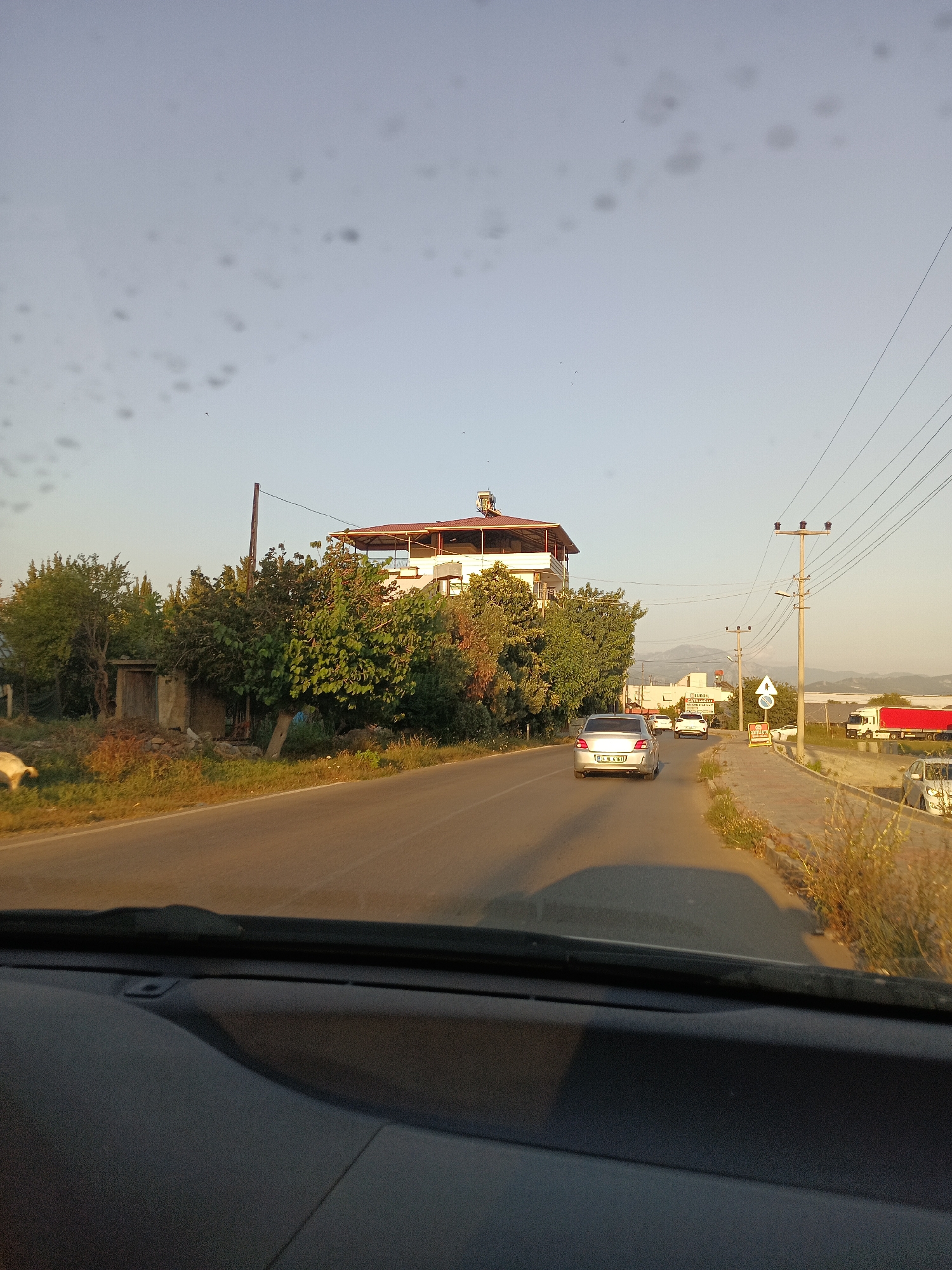 The image shows a street scene in Gazipaşa, Turkey, taken from inside a vehicle. The road is paved and curves to the right. On the left side of the road, there are trees, a small building with a wooden door, and what appears to be a white animal lying down in the grass. Further down the road, a multi-story white building with a reddish-brown roof and solar panels is visible, surrounded by greenery.
On the right side of the road, there is a sidewalk with dry grass and a utility pole with power lines. Several cars are visible on the road, including a silver sedan with a Turkish license plate in the foreground, followed by a white car. In the distance, there are more buildings and mountains. A large red truck is parked on the right side of the road near the sidewalk. The sky is clear with a gradient of blue to light grey, and there are some dark spots, possibly on the vehicle's windshield. The lighting suggests it is late afternoon or early evening.