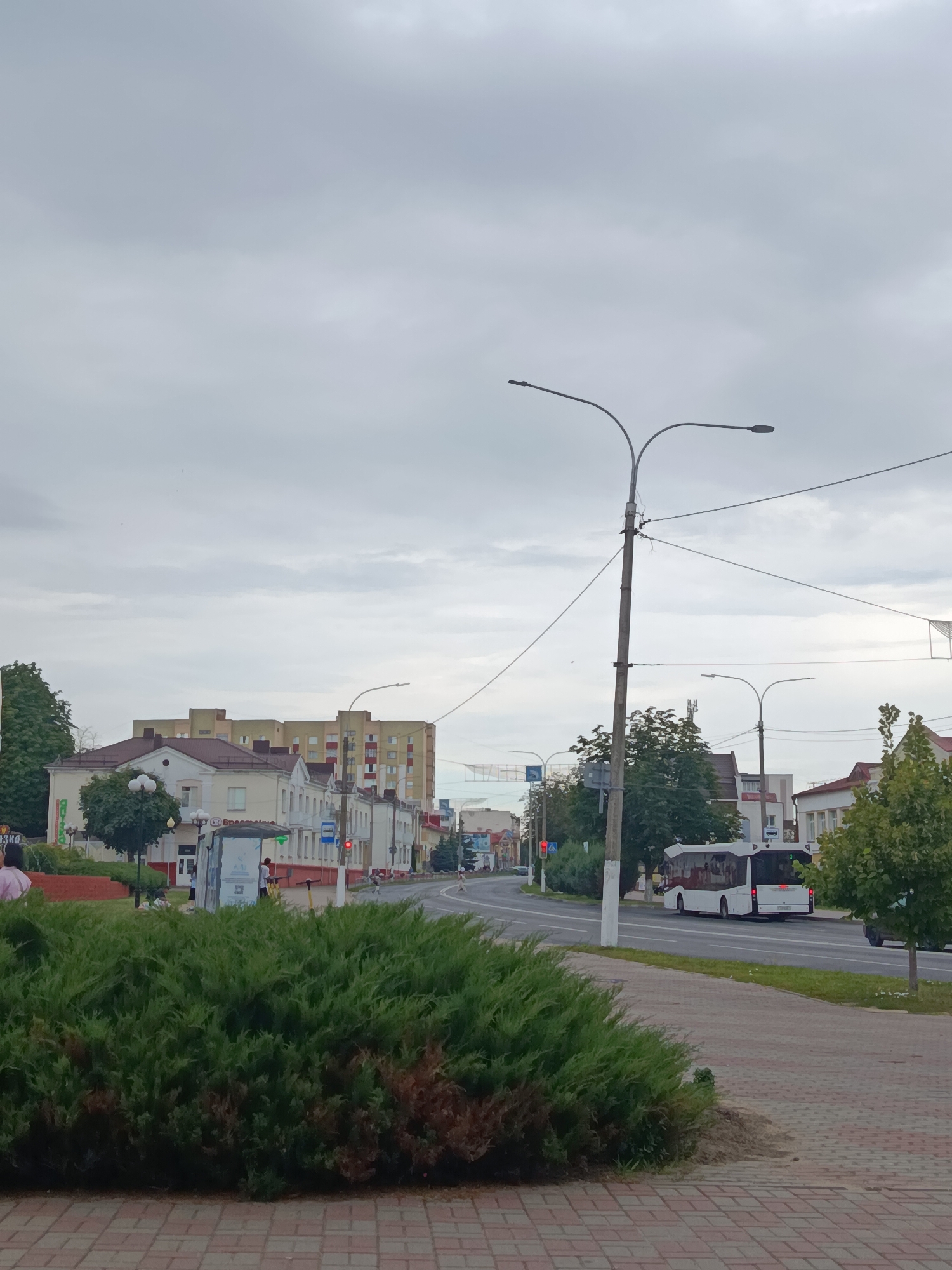 The image captures a street scene in the city of Zhlobin, Belarus, under an overcast sky. In the foreground, a dense, well-maintained evergreen hedge lines a brick-paved walkway. Beyond the hedge, a paved road curves to the left, with a white bus traveling away from the viewer. On the right side of the road, a paved sidewalk runs parallel, bordered by a grassy area and trees.

Across the street, a row of buildings forms the urban backdrop. These buildings vary in style and height, with some appearing to be older, two-story structures with light-colored facades, while others are taller, multi-story apartment buildings with beige and red brick exteriors. A bus stop shelter with a blue roof is visible near the buildings, and traffic lights indicate a pedestrian crossing.

Several streetlights with curved arms are positioned along the road. The overall atmosphere is subdued, consistent with a cloudy day. There are a few indistinct figures of people visible near the bus stop and walking along the sidewalk, but no specific interactions are apparent. The scene suggests a typical urban environment on a day with diffused natural light.