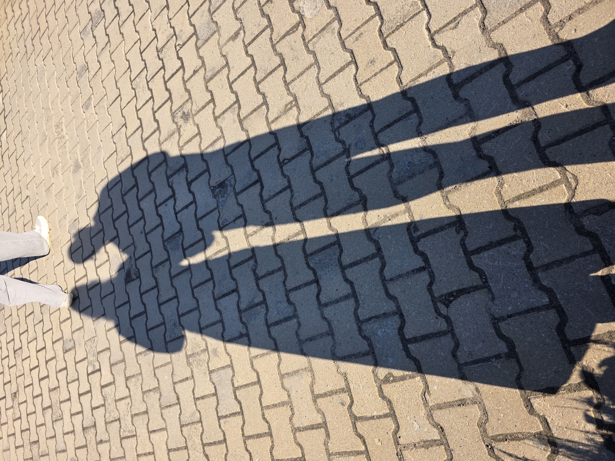 The image shows the shadow of a person standing on a brick-paved surface. The person is wearing light-colored pants and shoes. The shadow is elongated, suggesting a low sun angle. The brick pavers are light brown. The location, Repino, Russia, is not discernible from the image itself. No other people, objects, or interactions are present. The environment appears to be outdoors.