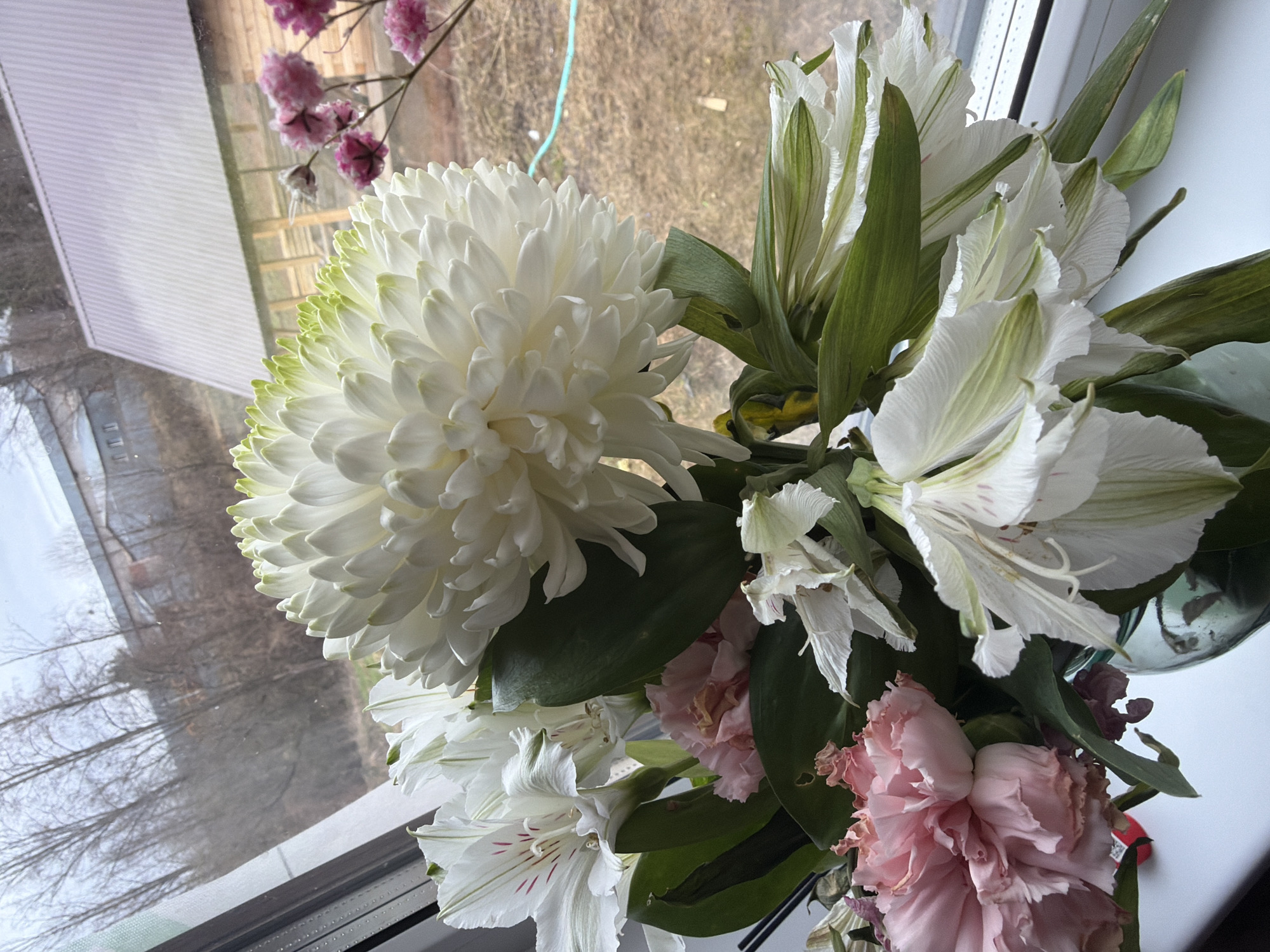 The image shows a floral arrangement in front of a window. The arrangement includes a large white chrysanthemum with green-tinged outer petals, white alstroemeria with green stripes on the petals, and pink carnations. The window offers a view of a building and trees without leaves. The scene takes place during the day. The location in the city of Rusalevka, Russia is not confirmed with certainty.
