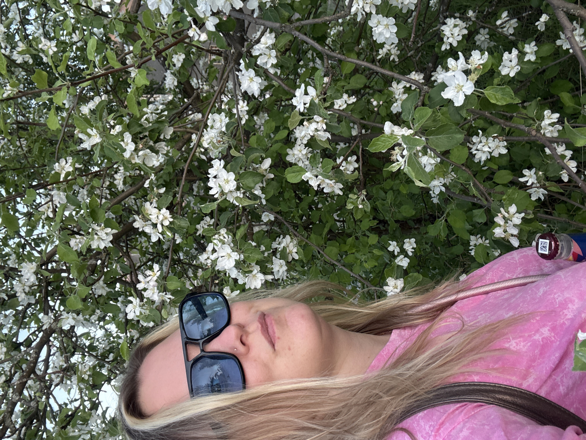A woman with blonde hair and sunglasses lies under a blooming tree with white flowers. She wears a pink top, and there is a bottle with a cap visible near her shoulder. The location is Марковский, Russia.