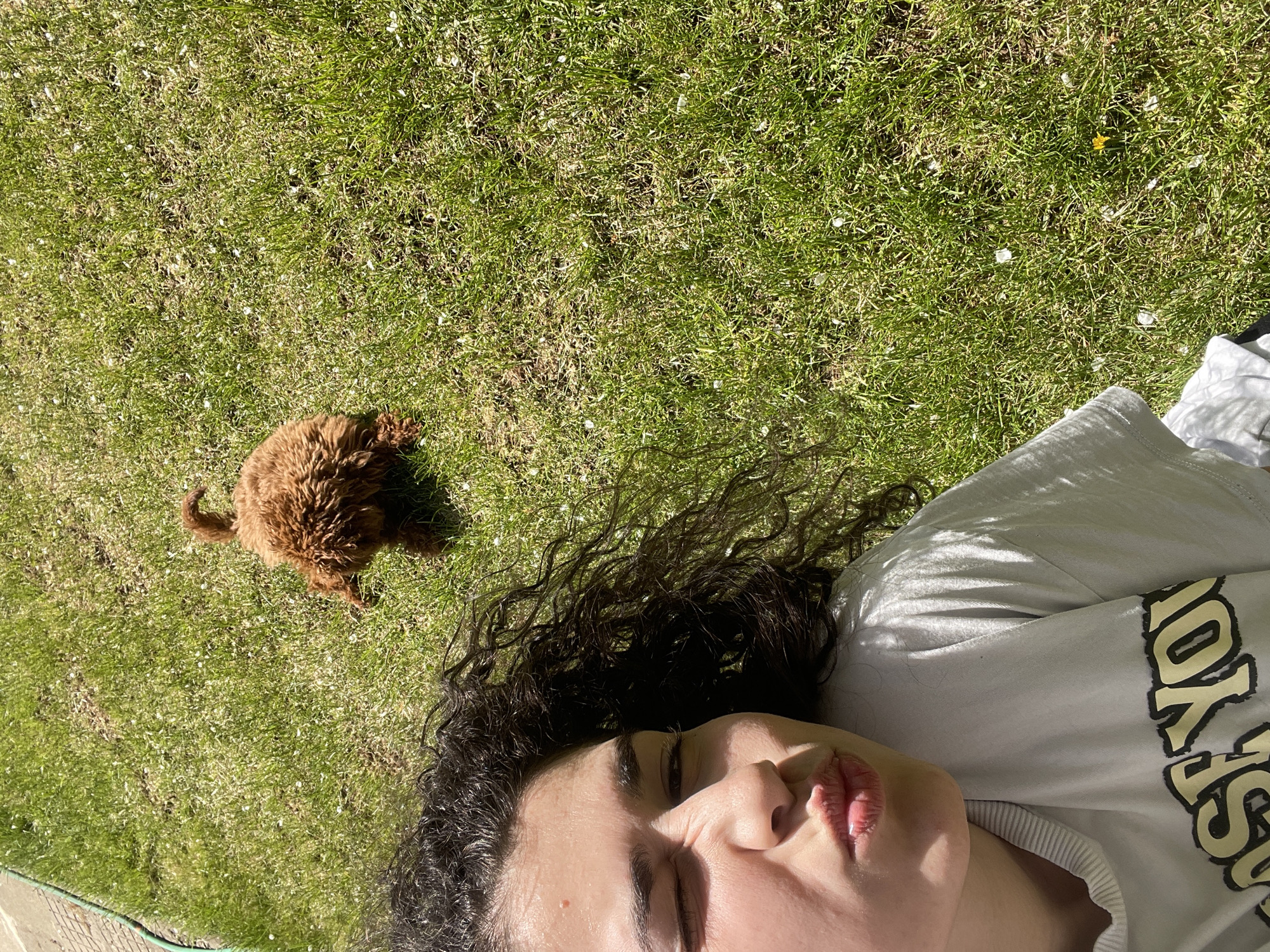 This media file captures a peaceful outdoor scene in Sofia, Bulgaria, on a bright, sunny day. A person, likely female, is lying on their back on vibrant green grass. Their dark, curly hair spreads around their head, and their eyes are closed or partially closed, suggesting relaxation. Sunlight creates distinct highlights and shadows on their face and full lips. They are wearing a light-colored t-shirt, on which partial text is visible, appearing to be "...YORK" in dark letters.
In the upper-left portion of the frame, a small, fluffy, brown dog, resembling a poodle or doodle puppy, is also resting on the grass. The grass features scattered small white flecks, possibly petals or seeds, and a solitary yellow dandelion. The clear, direct sunlight indicates it is likely midday or early afternoon. The overall impression is one of leisure and calm, with both the person and the pet enjoying the pleasant outdoor conditions, possibly in a backyard or park. The image is taken from an elevated perspective, looking down.