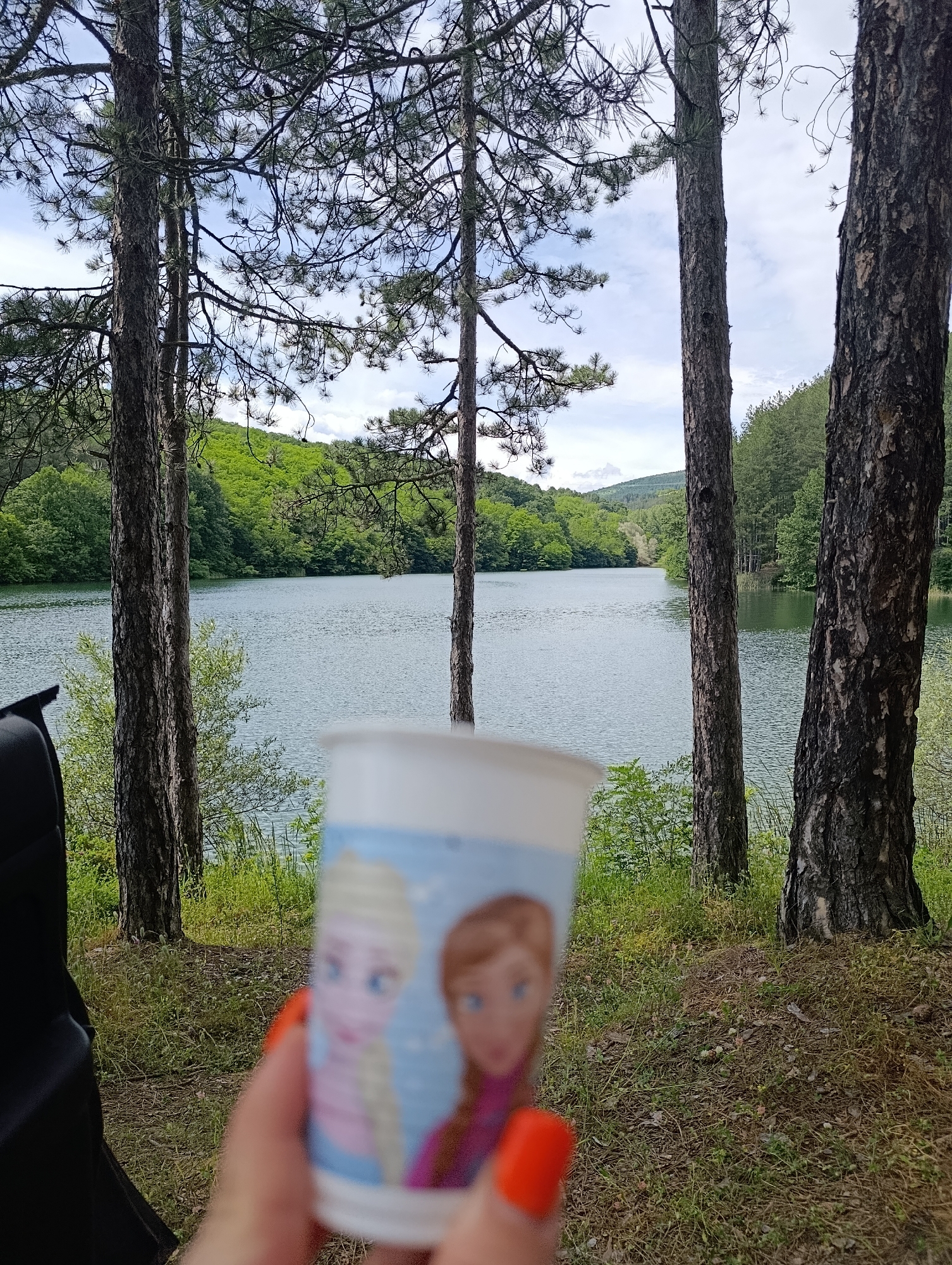 A person is holding a paper cup with characters from the animated movie "Frozen" printed on it, in front of a serene lake scene. The cup is positioned in the foreground, partially obscuring the view of the lake and the surrounding lush green trees. The lake is calm with a slightly rippled surface, reflecting the overcast sky. Tall, slender pine trees with rough bark stand on the right side of the frame, framing the lake. The background shows a densely forested hillside with varied shades of green foliage. The ground in the foreground is covered with dry grass, fallen pine needles, and small scattered pebbles, suggesting a natural, possibly recreational area. The lighting suggests it is daytime, with diffused light from the cloudy sky. The overall atmosphere is tranquil and natural, with the "Frozen" cup adding a playful, personal touch to the outdoor setting, which is located in the city of Nevestino, Bulgaria.