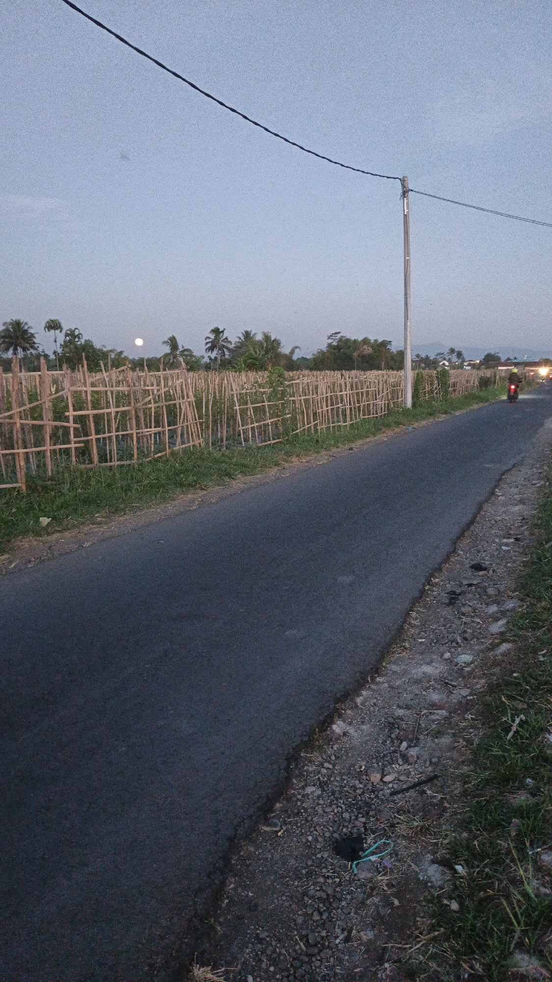 The image depicts a rural road in Linggasirna, Indonesia, during dusk. The road is paved and appears to be in good condition, with a gravel and grass shoulder on the right side. To the left of the road, a bamboo fence runs along a field, likely agricultural, with young plants visible behind it. In the distance, a few palm trees and other vegetation are present, suggesting a tropical or subtropical environment. The sky is a pale blue, indicating the transition from day to night, and a full moon is visible high in the sky. A utility pole with power lines stretches across the upper part of the frame. A red motorcycle with a rider is seen in the distance on the right side of the road, approaching the viewer. The overall scene is quiet and peaceful, characteristic of a rural landscape at twilight.