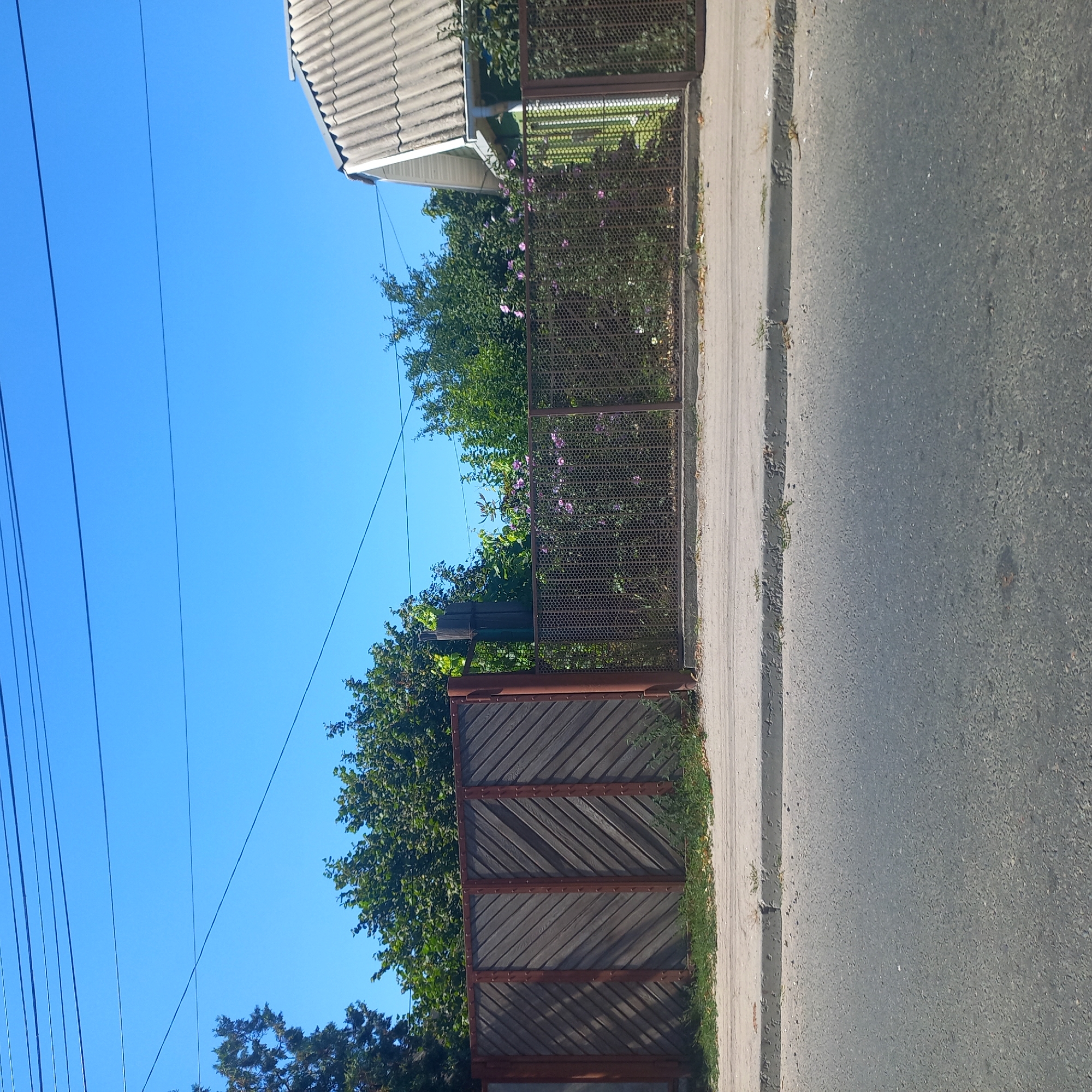 The image depicts a street scene with a clear blue sky overhead. In the foreground, there is an asphalt road surface. Behind the road, there is a concrete curb, and then a patch of ground with sparse vegetation. Beyond this, a metal fence with a hexagonal mesh pattern runs horizontally across the frame, with a large wooden gate on the left. Behind the fence and gate, lush green trees and bushes are visible. A portion of a house with a grey, corrugated roof and green siding is visible on the right side of the image. The overall impression is of a residential area on a sunny day. The provided image appears to be from the city of Kropyvnytskyi, Ukraine, judging by the context of other images provided.