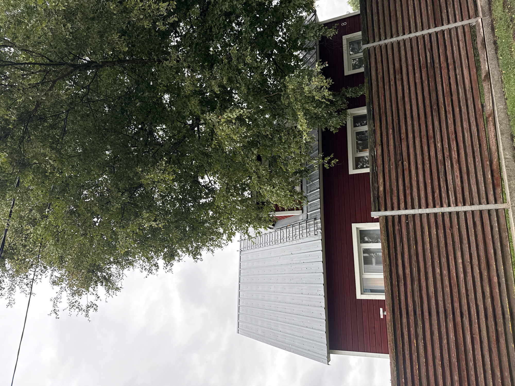 A low-angle, medium shot captures a dark red, two-story wooden house with a corrugated metal roof. The house has multiple windows with white frames on the upper level, and a light-colored ladder is visible ascending the roof. A large tree with dense green foliage overhangs the house, partially obscuring the roof and the sky. In the foreground, a weathered, horizontal wooden fence runs across the frame, with metal posts supporting it. The sky is overcast and gray. The image appears to be taken outdoors in a residential setting.