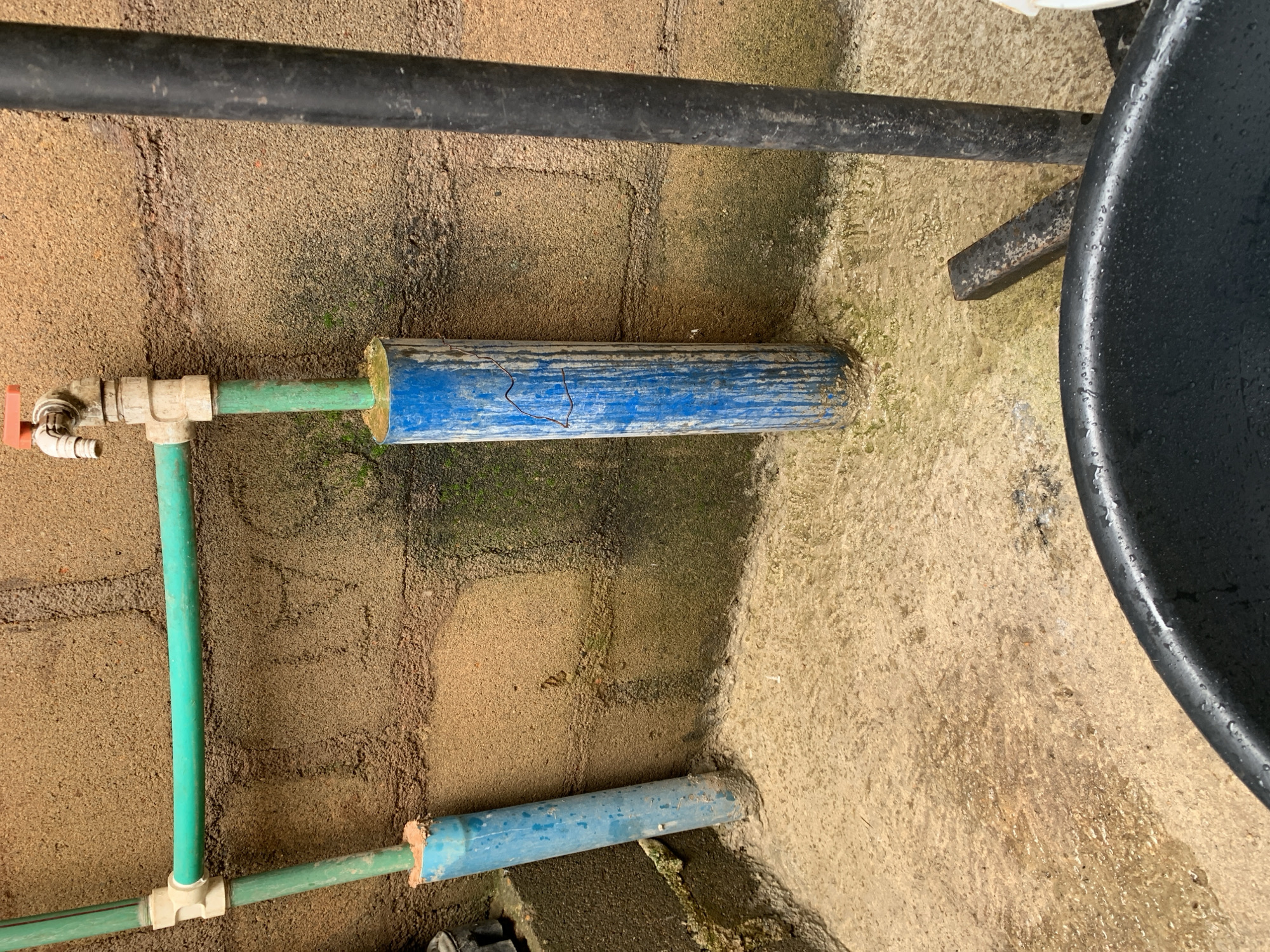 In an outdoor setting, likely a backyard or alley, a water faucet is attached to a textured, sandy-colored brick wall. Green pipes connect to the faucet and extend horizontally and vertically. The vertical pipe on the left is encased in a blue cylindrical protective sleeve. The vertical pipe on the right, directly connected to the faucet, also has a blue cylindrical sleeve around its lower portion. A thick, black pipe stands vertically to the right of the faucet assembly. The ground is covered in a light-colored, gritty surface that appears damp, with some greenish moss or algae growing on the wall and ground in places. A black plastic tub is partially visible in the foreground, its rim wet with droplets. The scene suggests a functional but somewhat weathered outdoor water source.